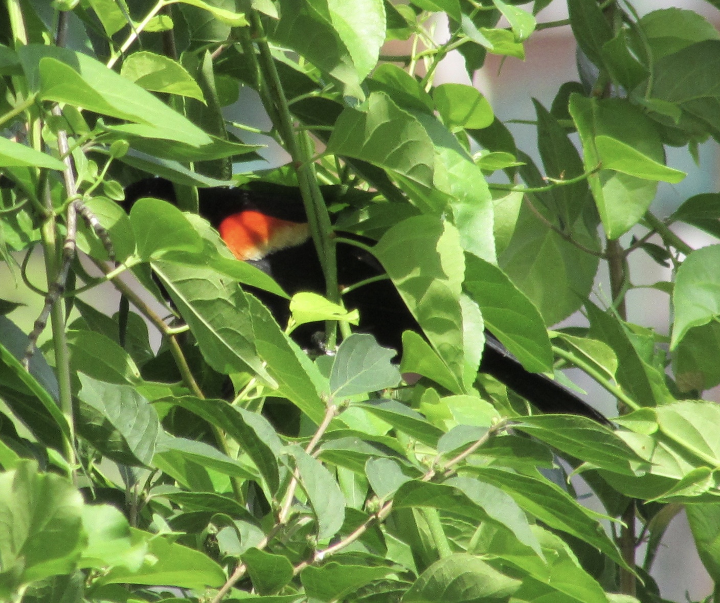 Take Some Social Media for Stress and Call Me In The Morning