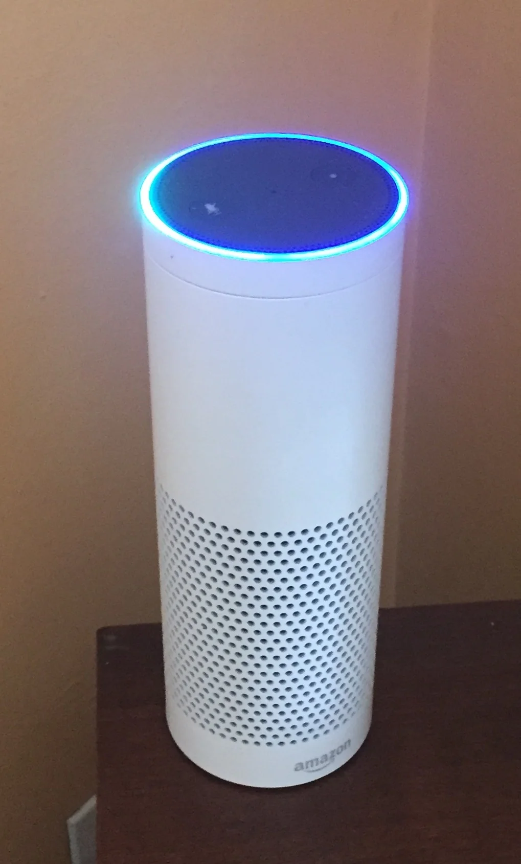 Tales of the Echo: No, Thanks, Alexa