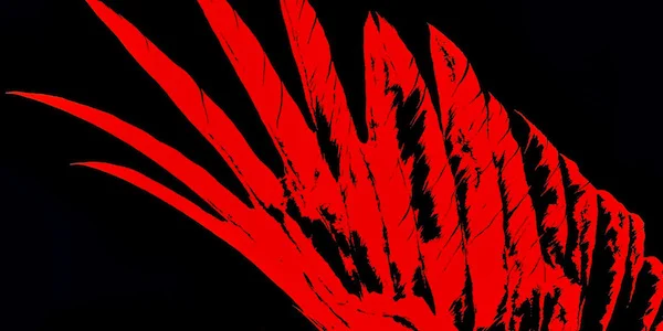 Pierce Brown's “RED RISING”
