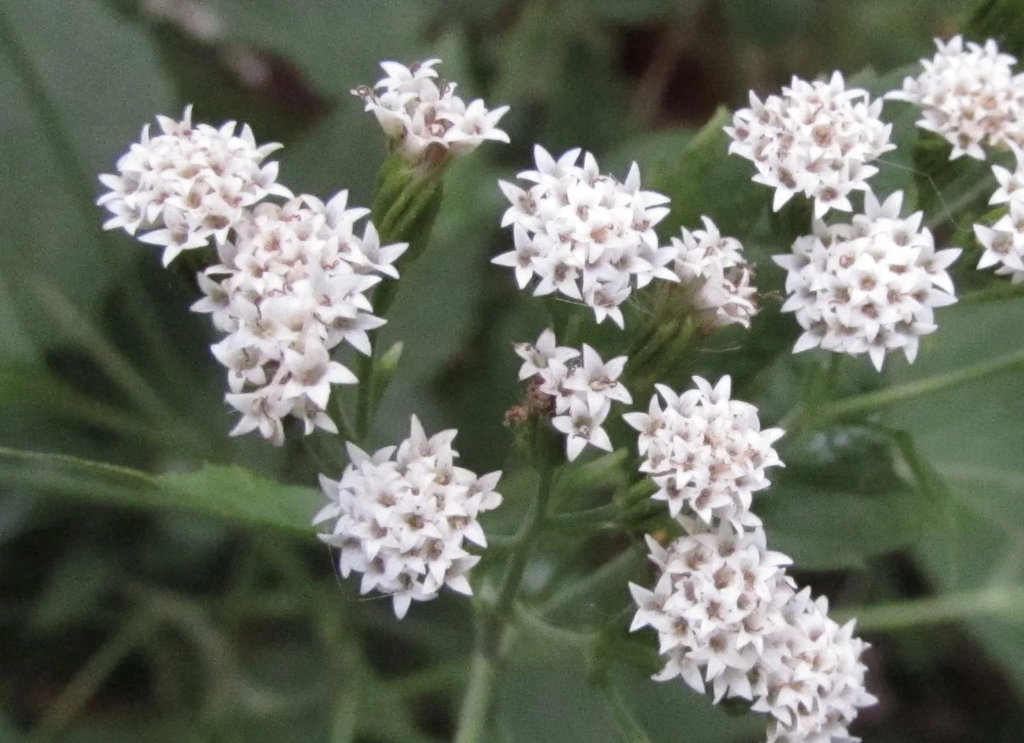 A Framework for Defining the Scope of Data Governance Strategy Projects (Part 2)