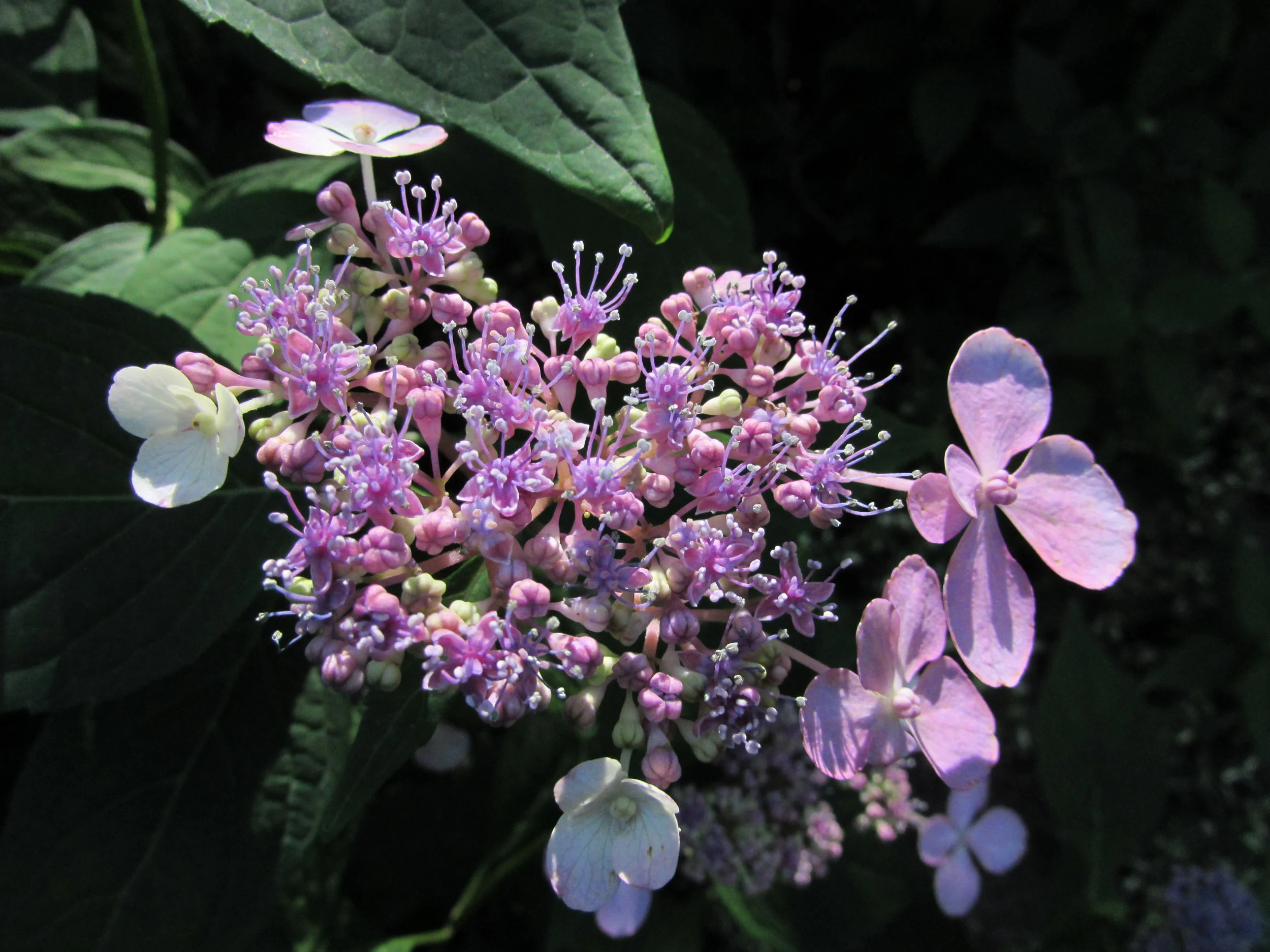 Data Governance and Digital Transformation: Two Sides of the Same Coin