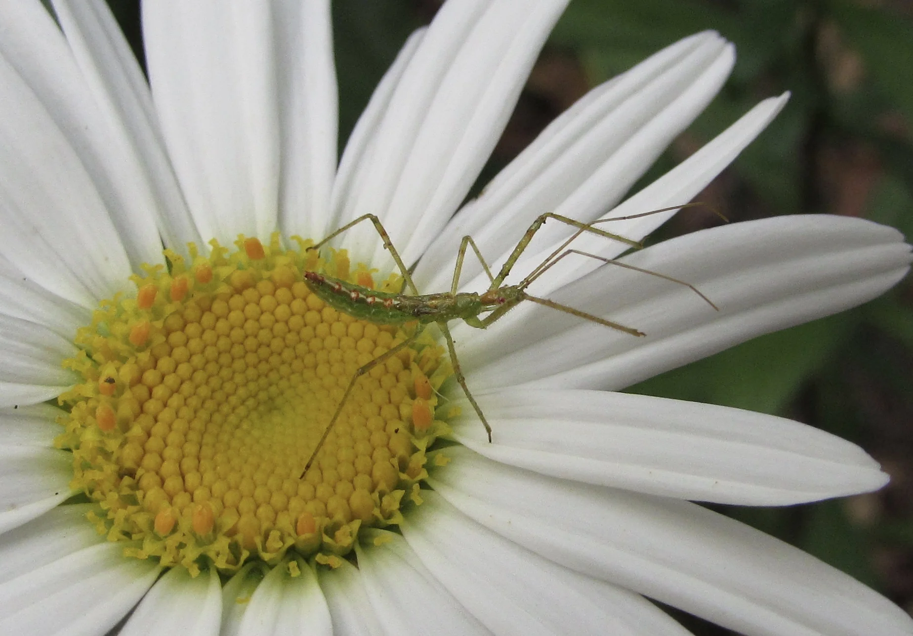 Life After Twitter: Ten Days In