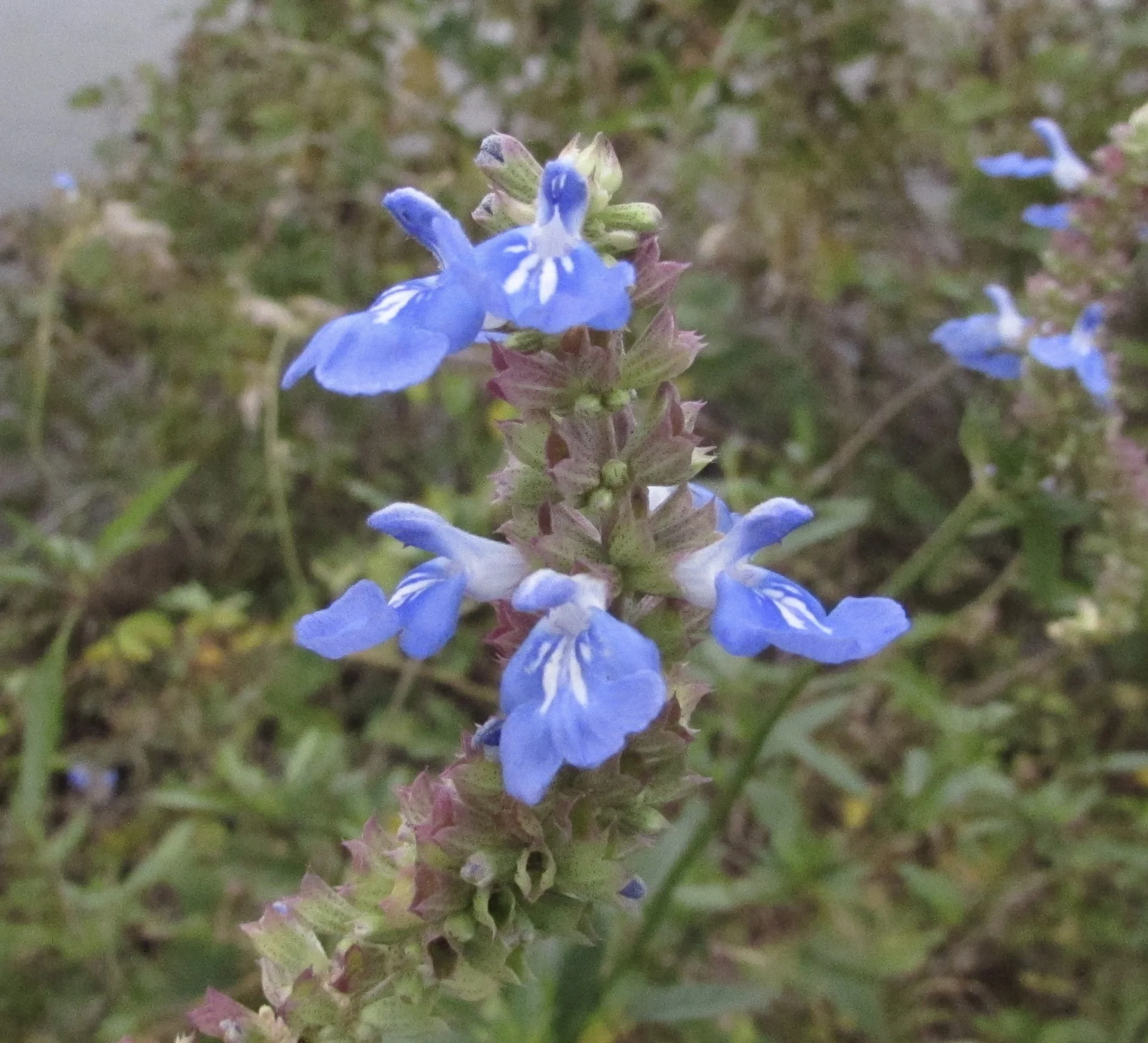 How Will We Know When "Sequestration" Hurts Us?