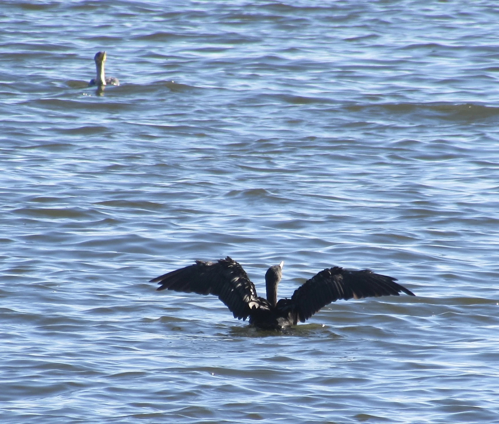 Challenges Facing Small and Medium-size Government Contractors