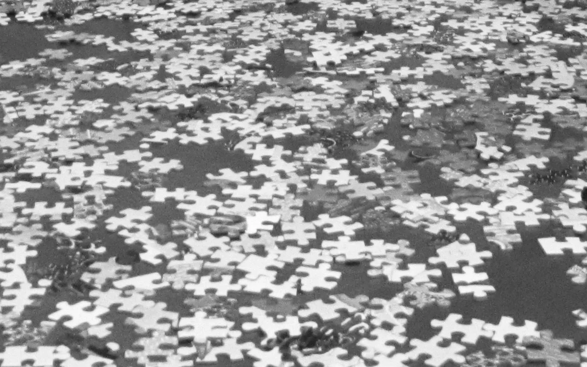 Do Organizations Need Data Governance as a Service (DGaaS)?