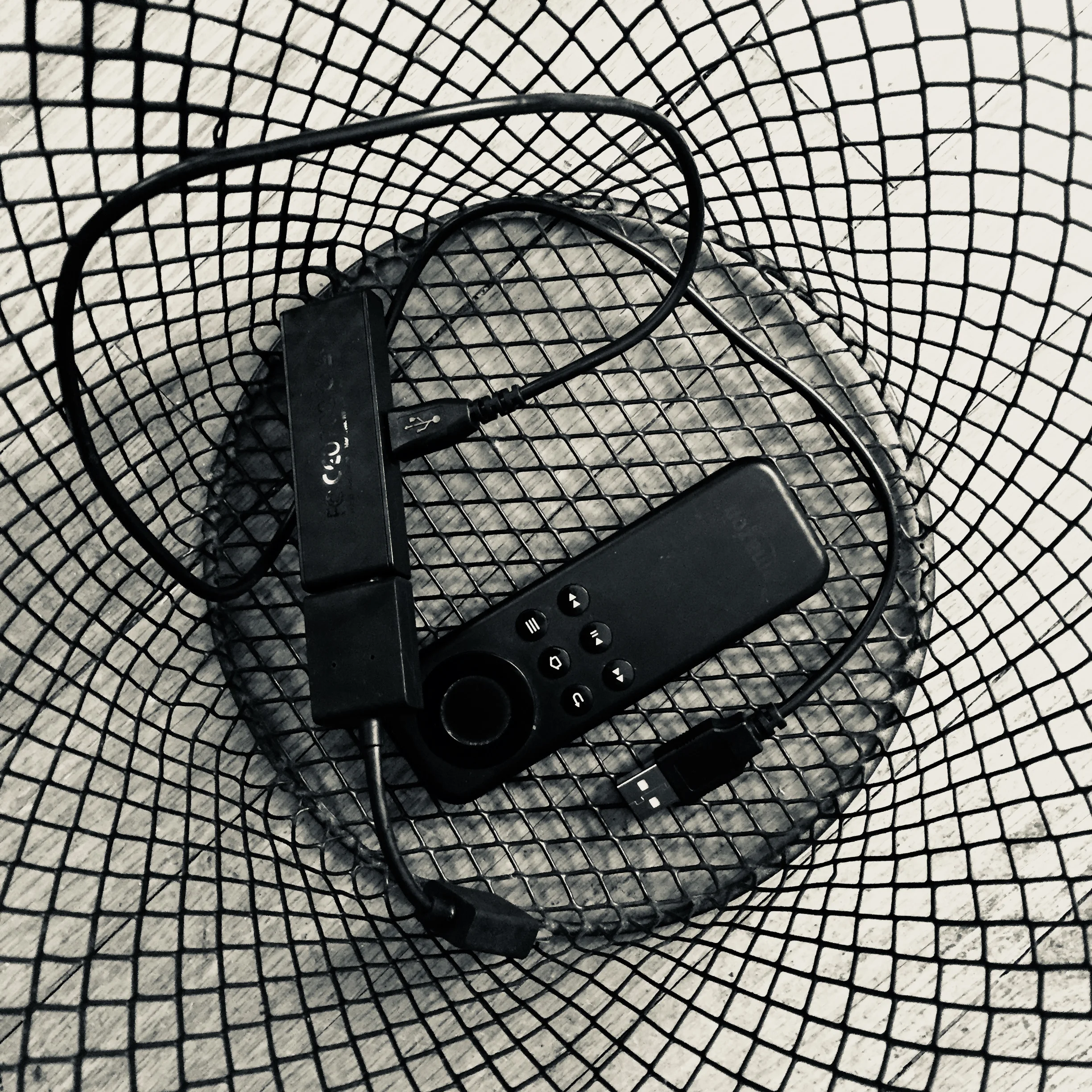 BREAKING: Irate Alexandria Customer Trades Amazon Fire TV Stick for Roku