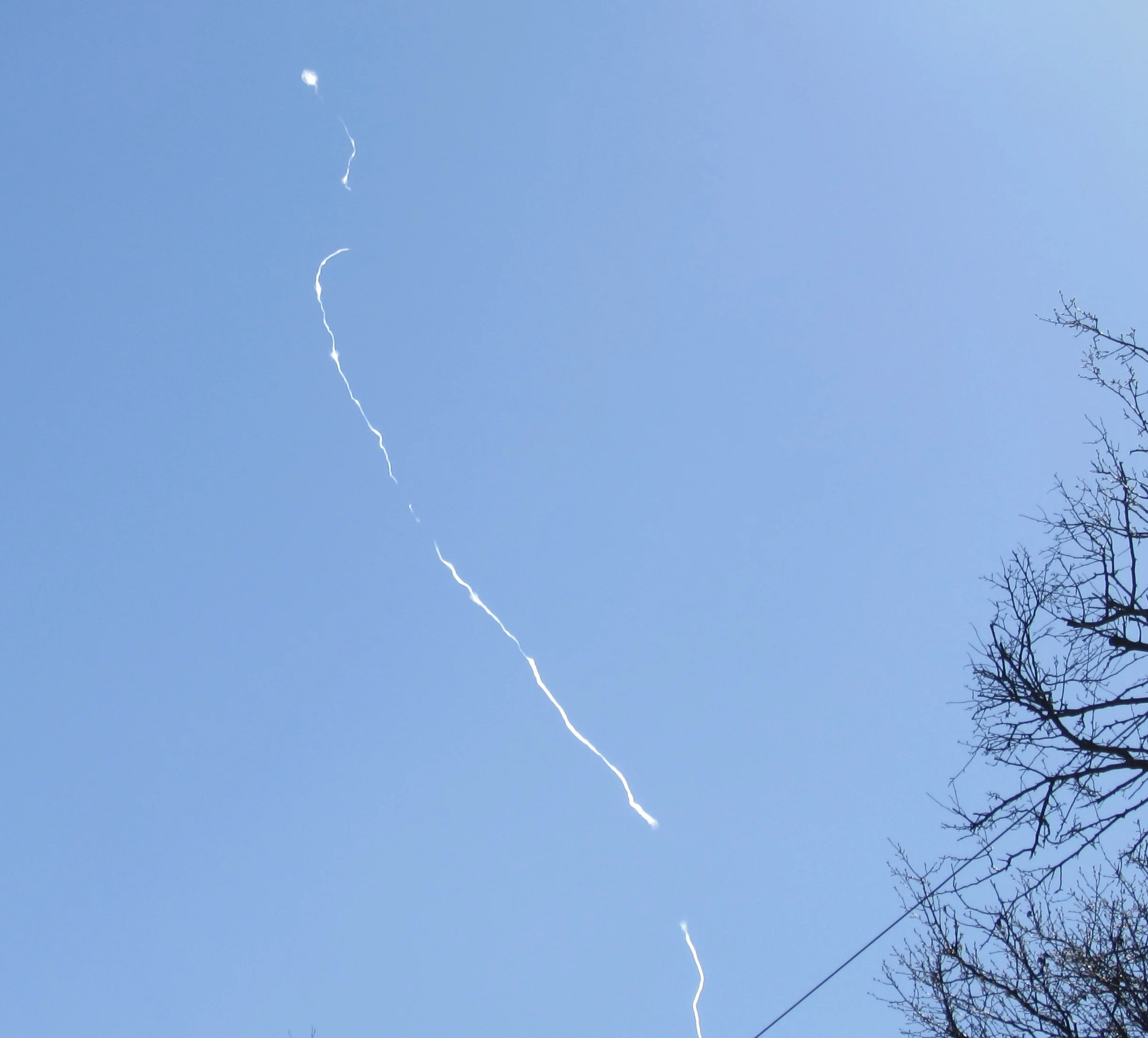 A Panel Discussion, "Internet Technology in the Obama Age"