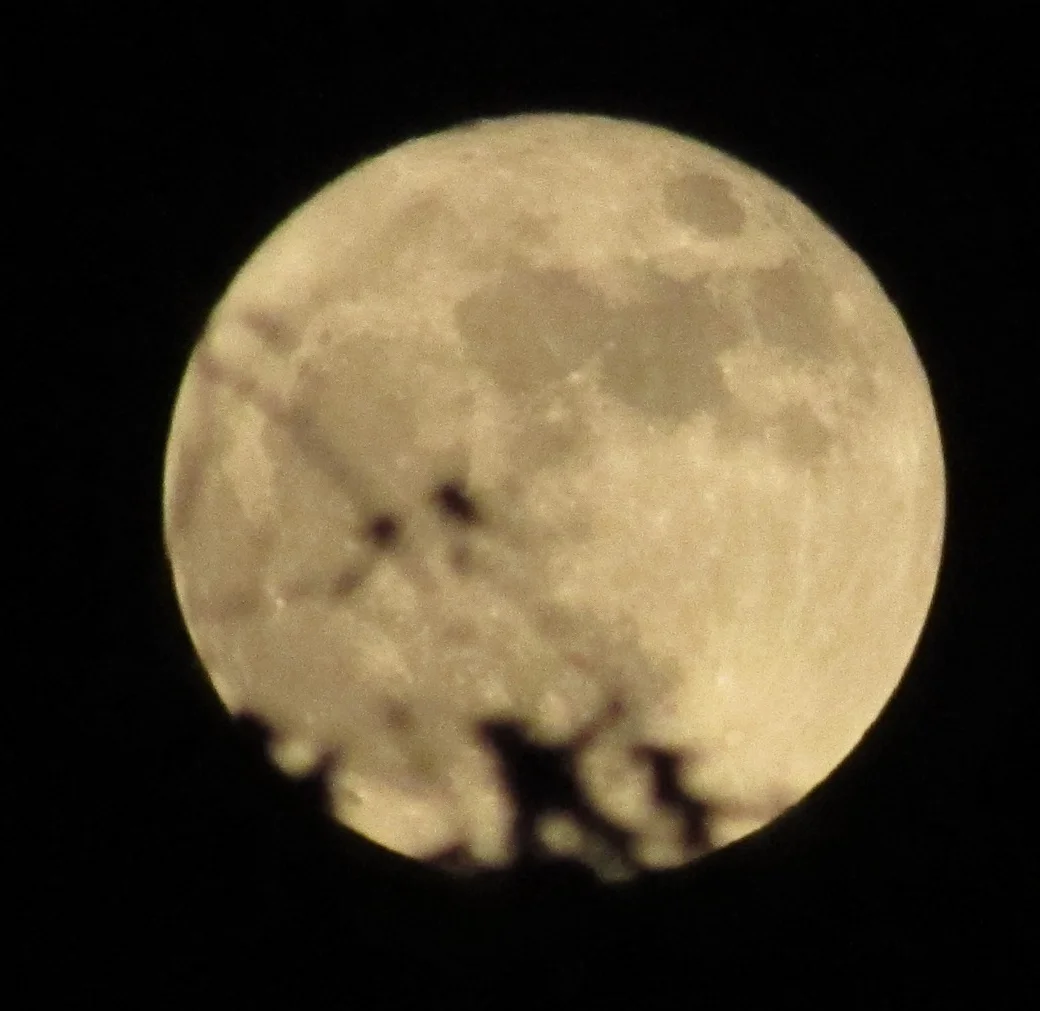 Introducing Collaboration Technologies to the Enterprise is a Challenge