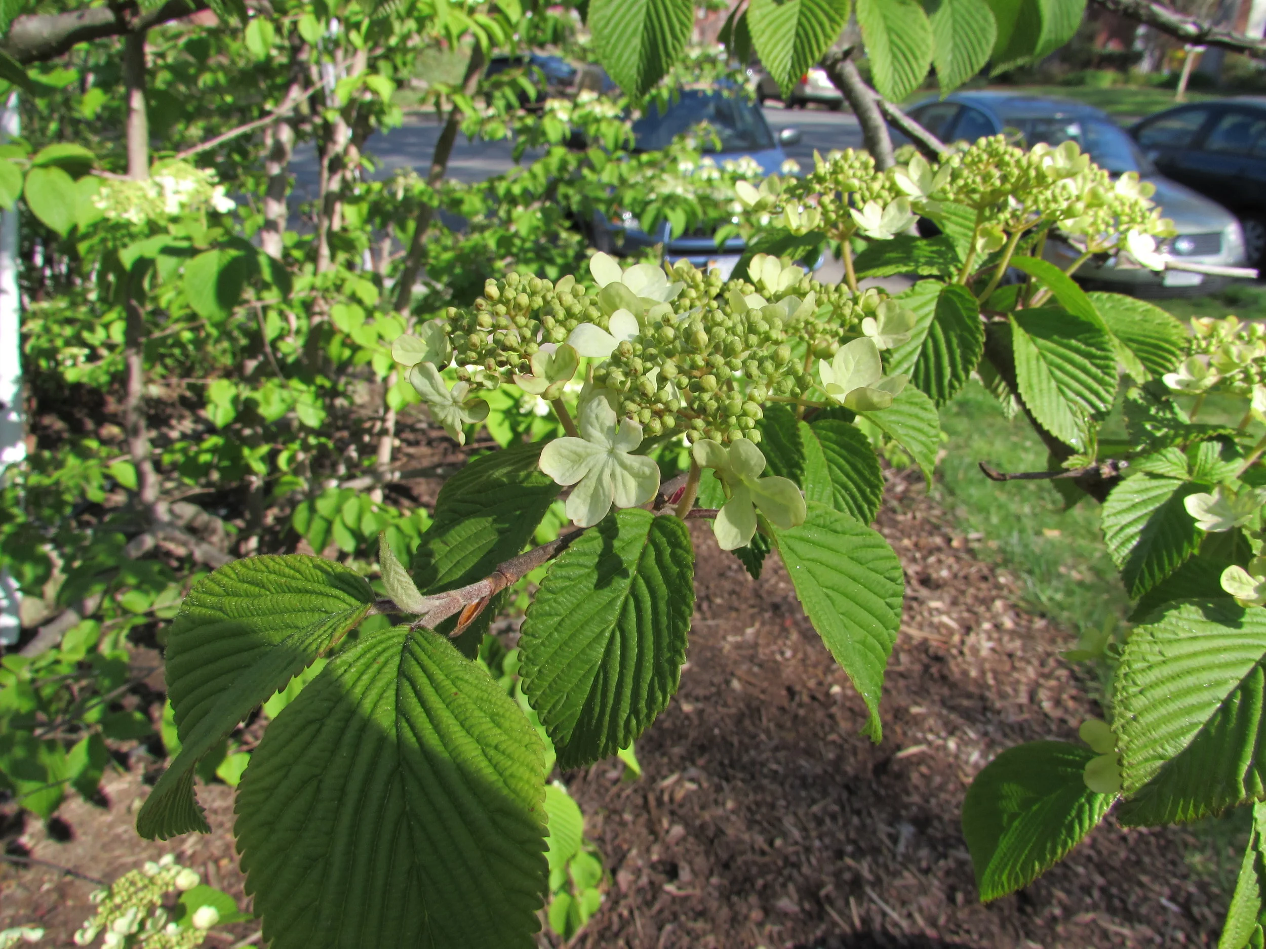 Developing a Collaborative Approach to Improving Project Management Practices, Part 1