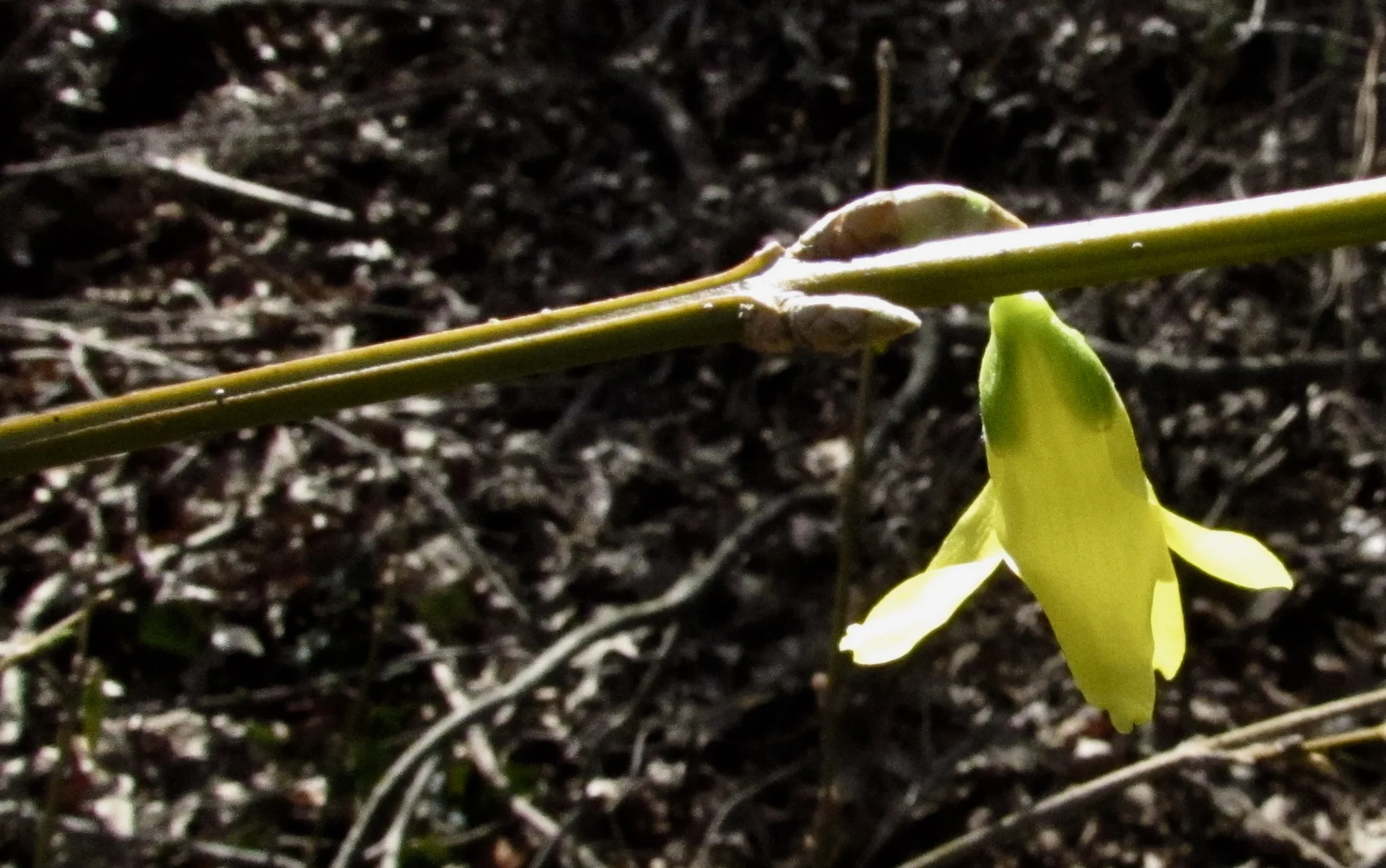 Proposed: A Choice-Based Approach to Controlling the Commercial Exploitation of Personal Data