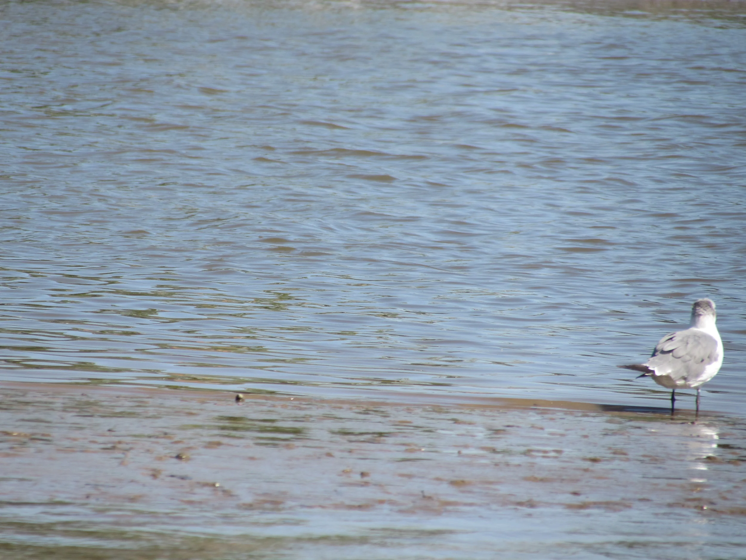 Managing Online Social Network Data Access is Like Living In a House Built on Sand