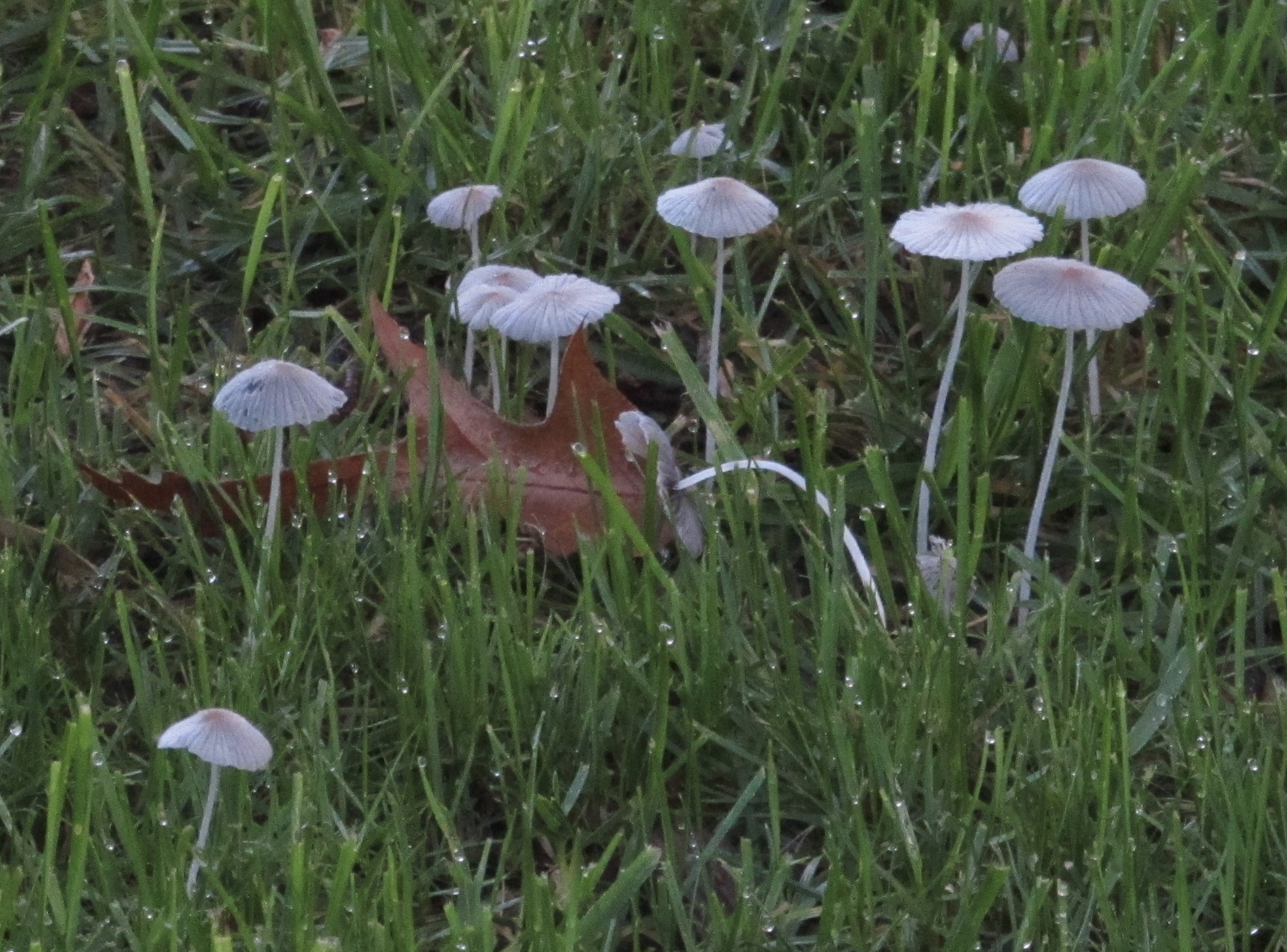 My Thumbs are Mixed on Linkedin's New Skill Endorsements