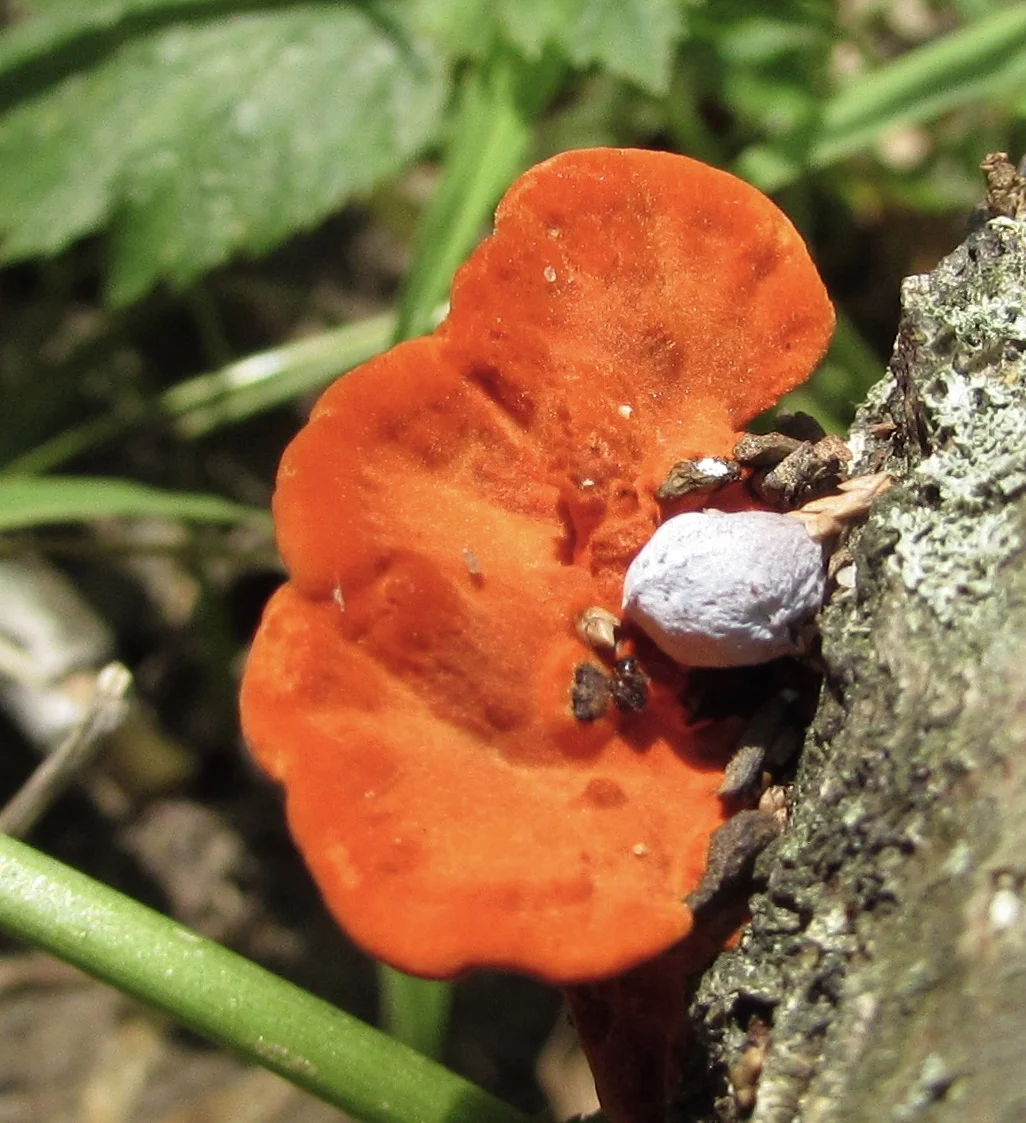 More Thoughts on Linkedin's One-Click Skill Endorsements