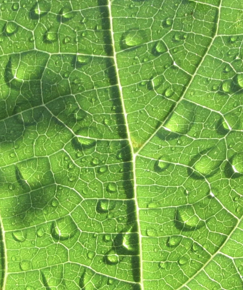 Data Governance, AI, and Data Driven Medicine: Challenges & Opportunities