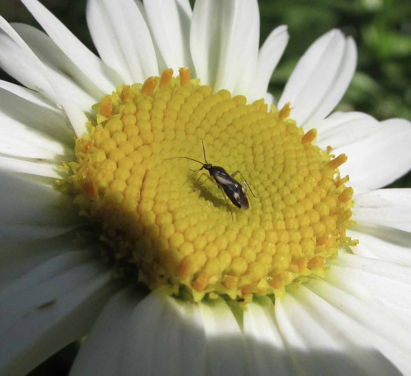 How To Avoid Common Strategic Planning Mistakes