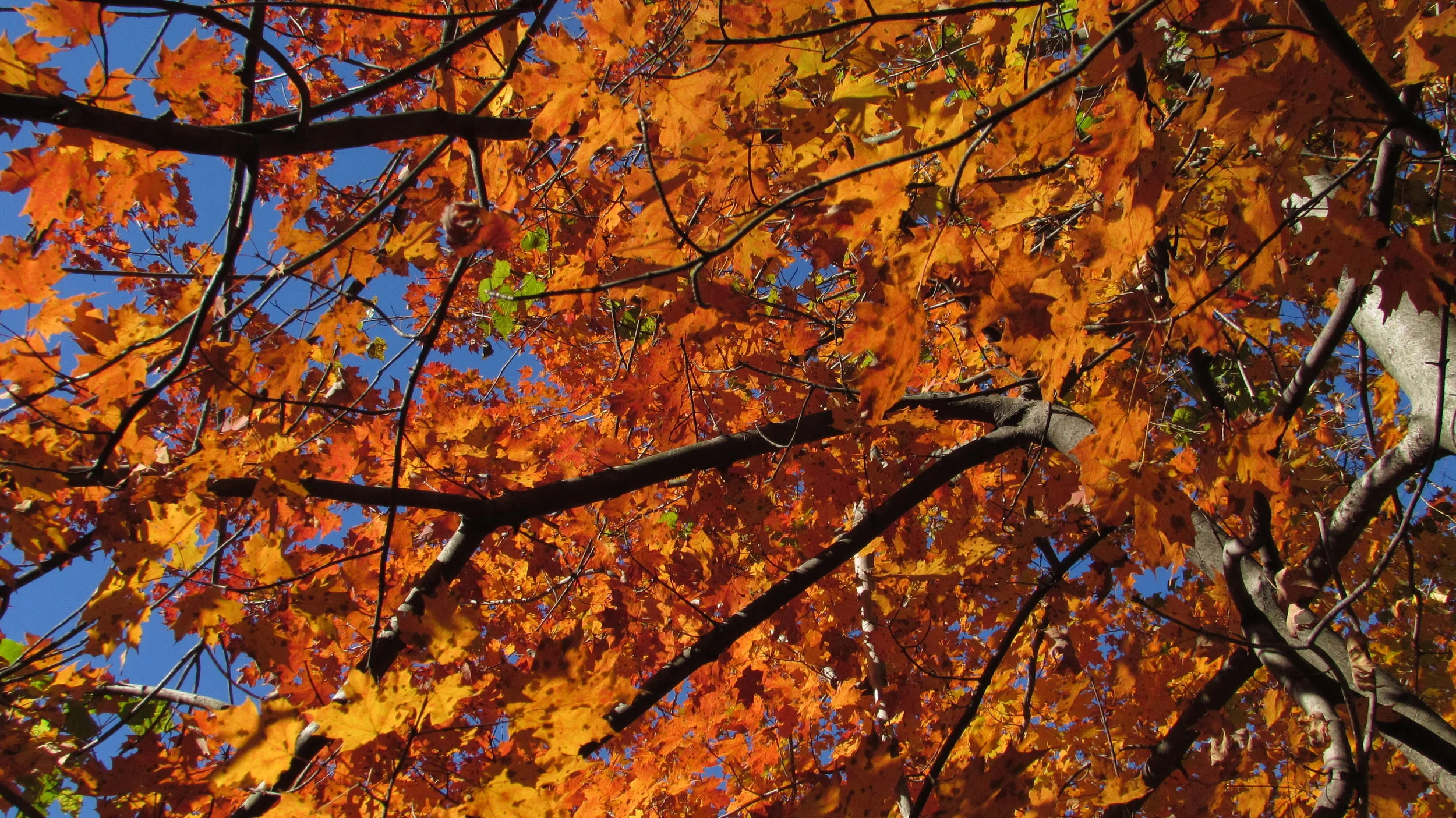 "I'll Take 'DataOps' for 500, Alex"