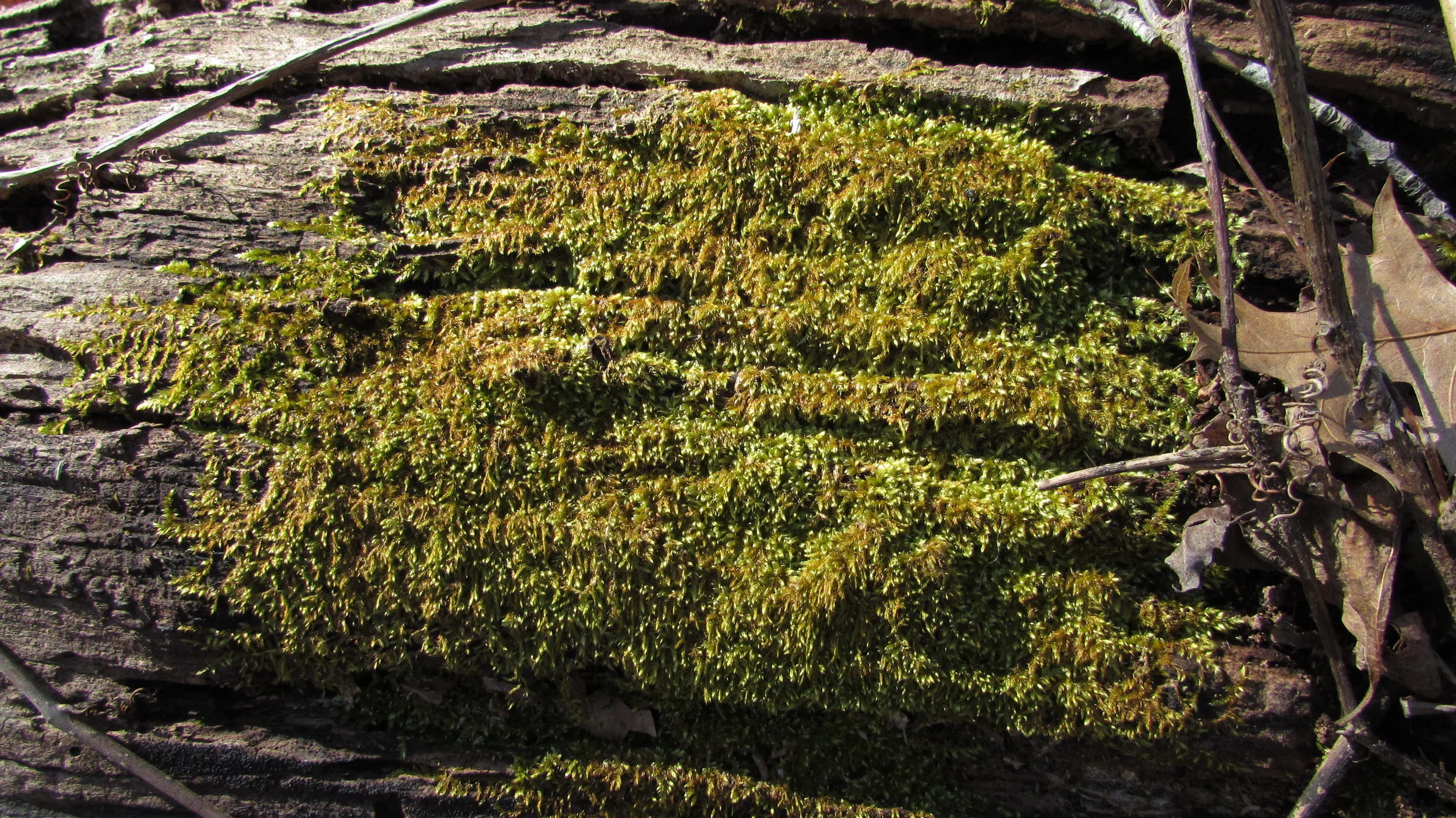 Government Performance Measurement and DATA Act Implementation Need to be Coordinated