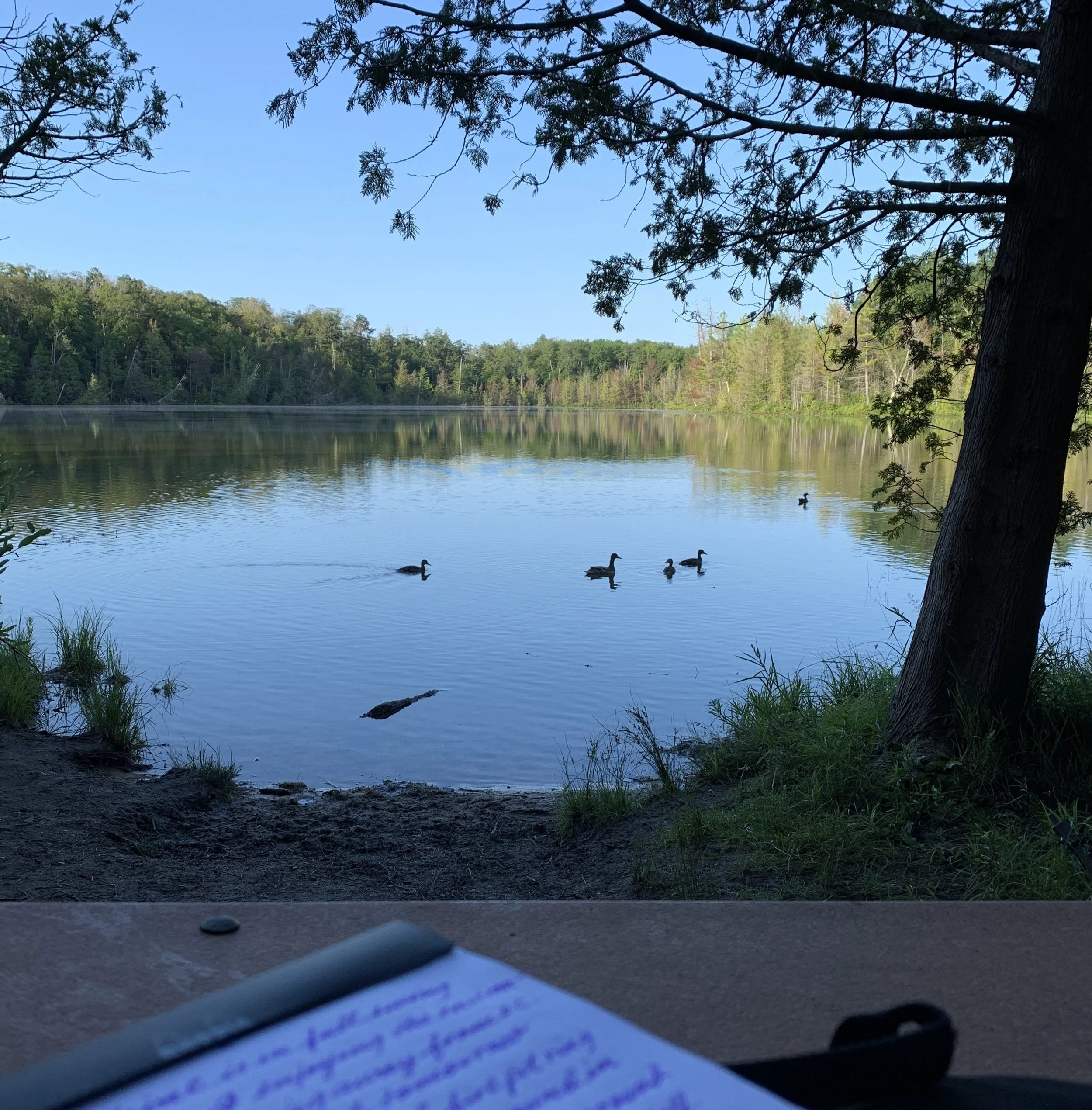 Don't Just Say, "Google It!"