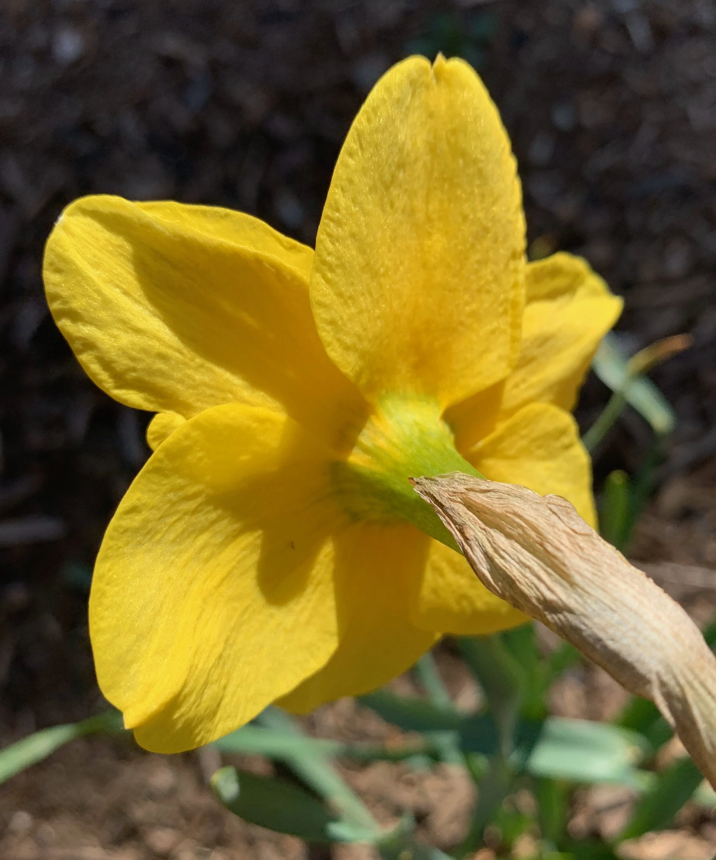 Forget “Best Practices.” Think “Best People” Instead.