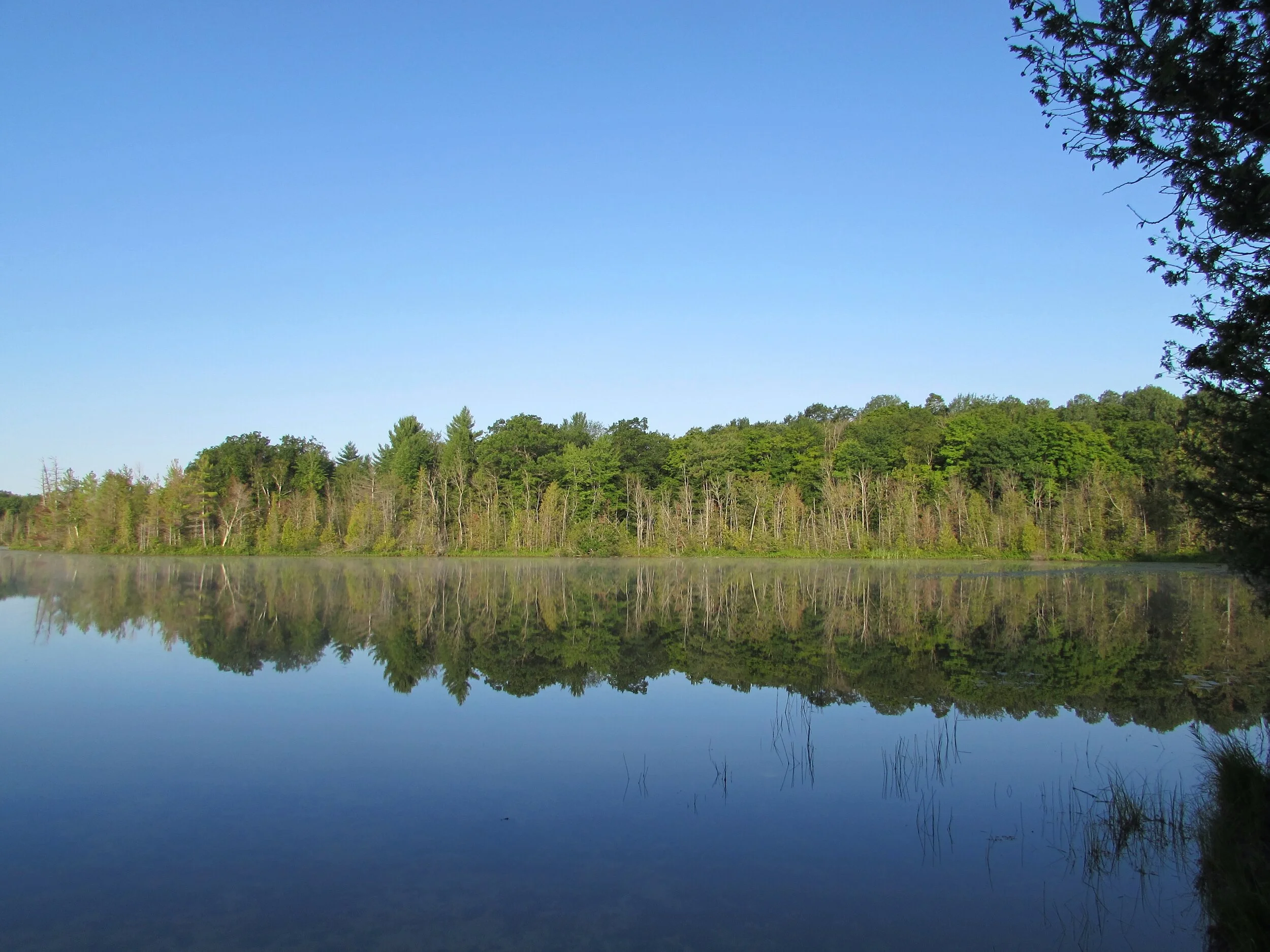 Duck Hunting and the Future of Customer Support