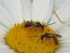 Thoughts About Cloud Based File Sharing, or, "Take My Files - Please!"