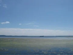 When Does a Public Data Good Become a Private Data Resource?