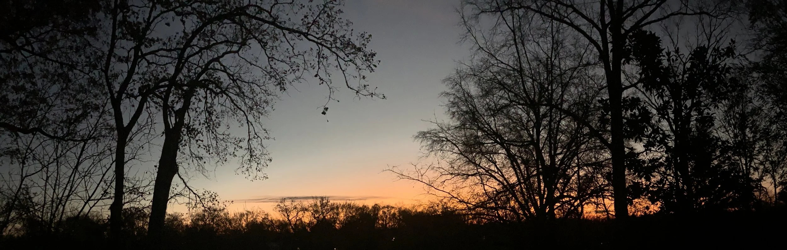 IBM’s “Building a New IP Marketplace” Report Promotes Openness in Patent Related Business Processes