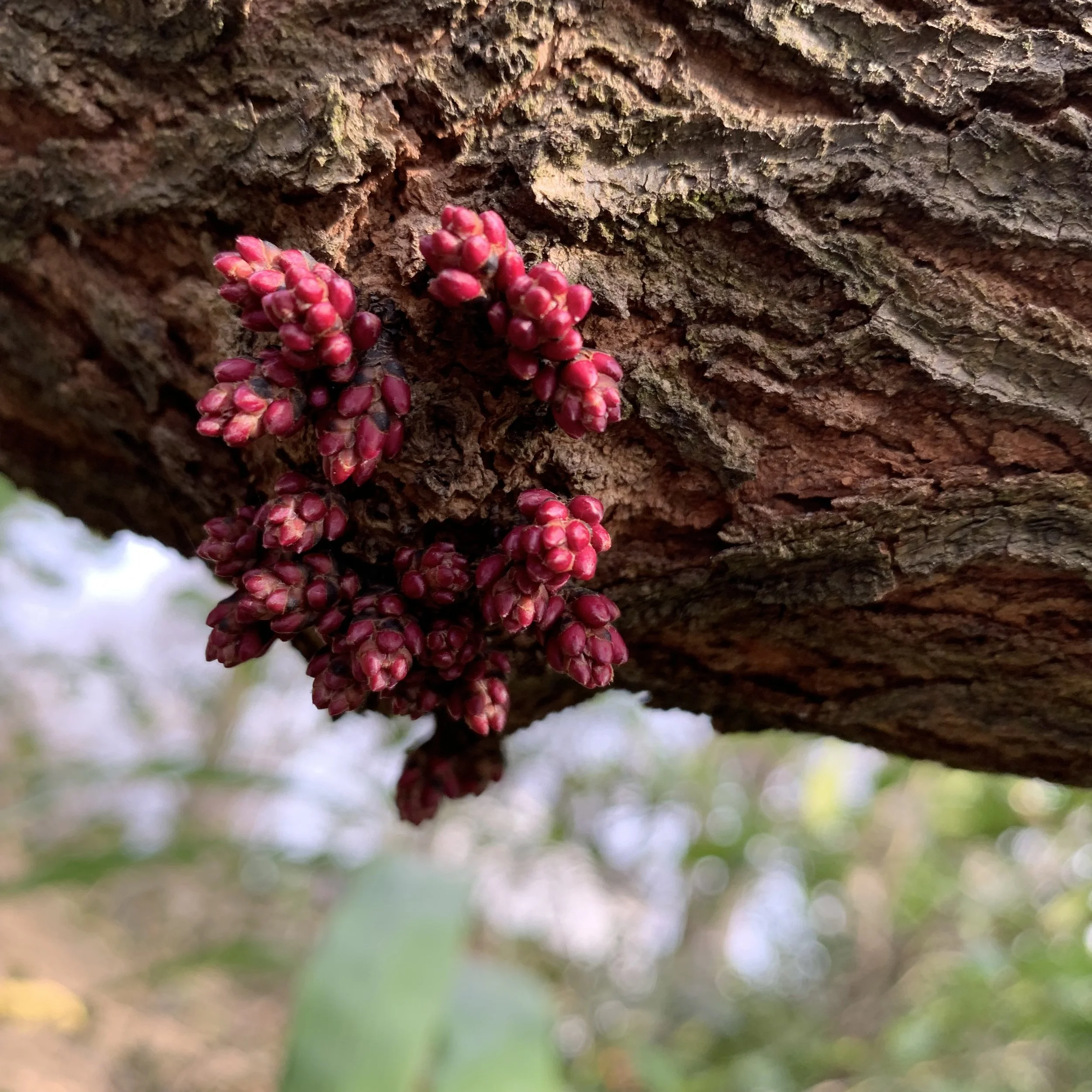 Whom Do You Trust to Augment YOUR Reality?