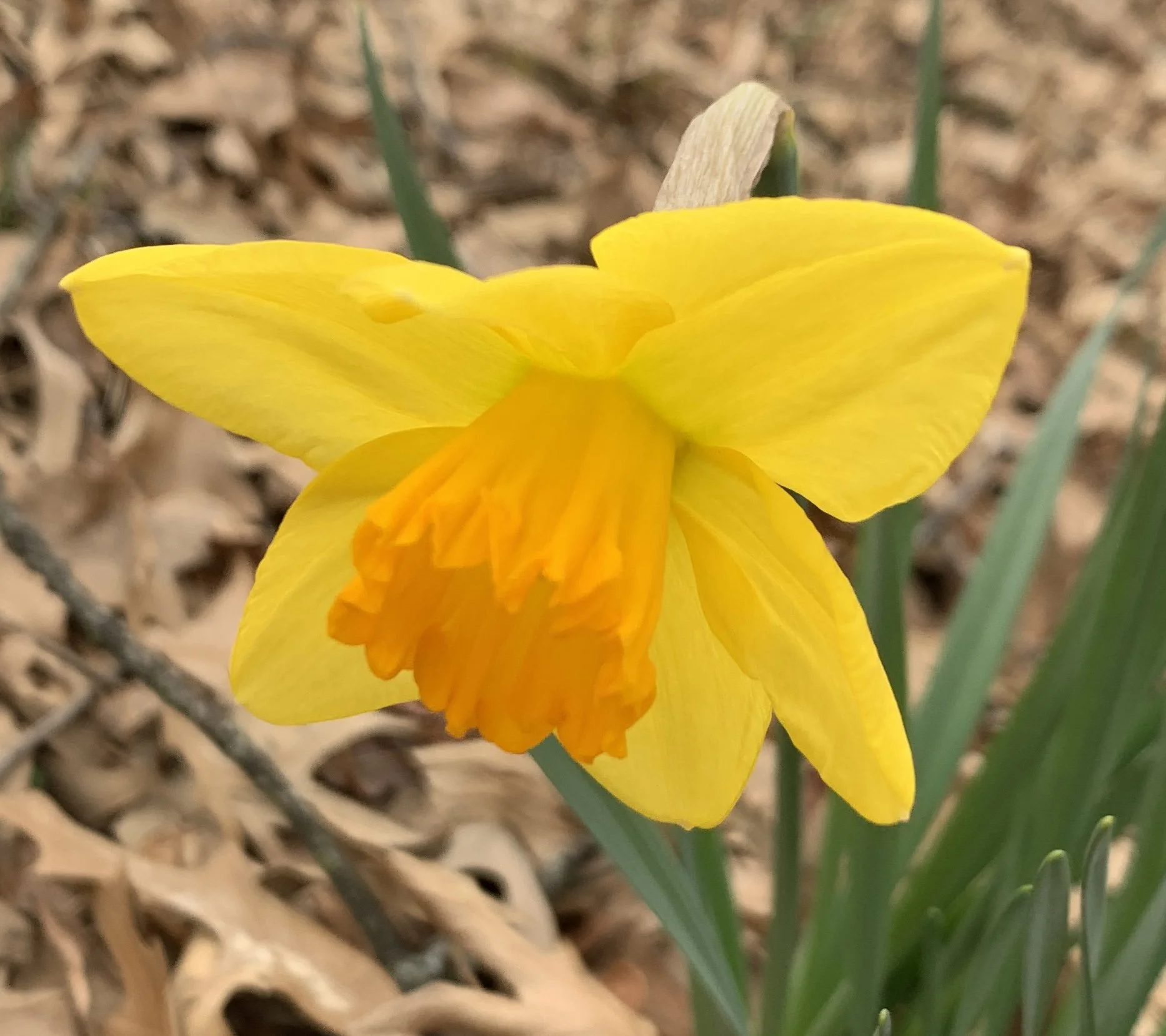 Why Do We Have to "Innovate"?