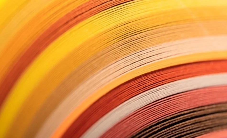Suzume, Amazon, and the Decline of Physical Media