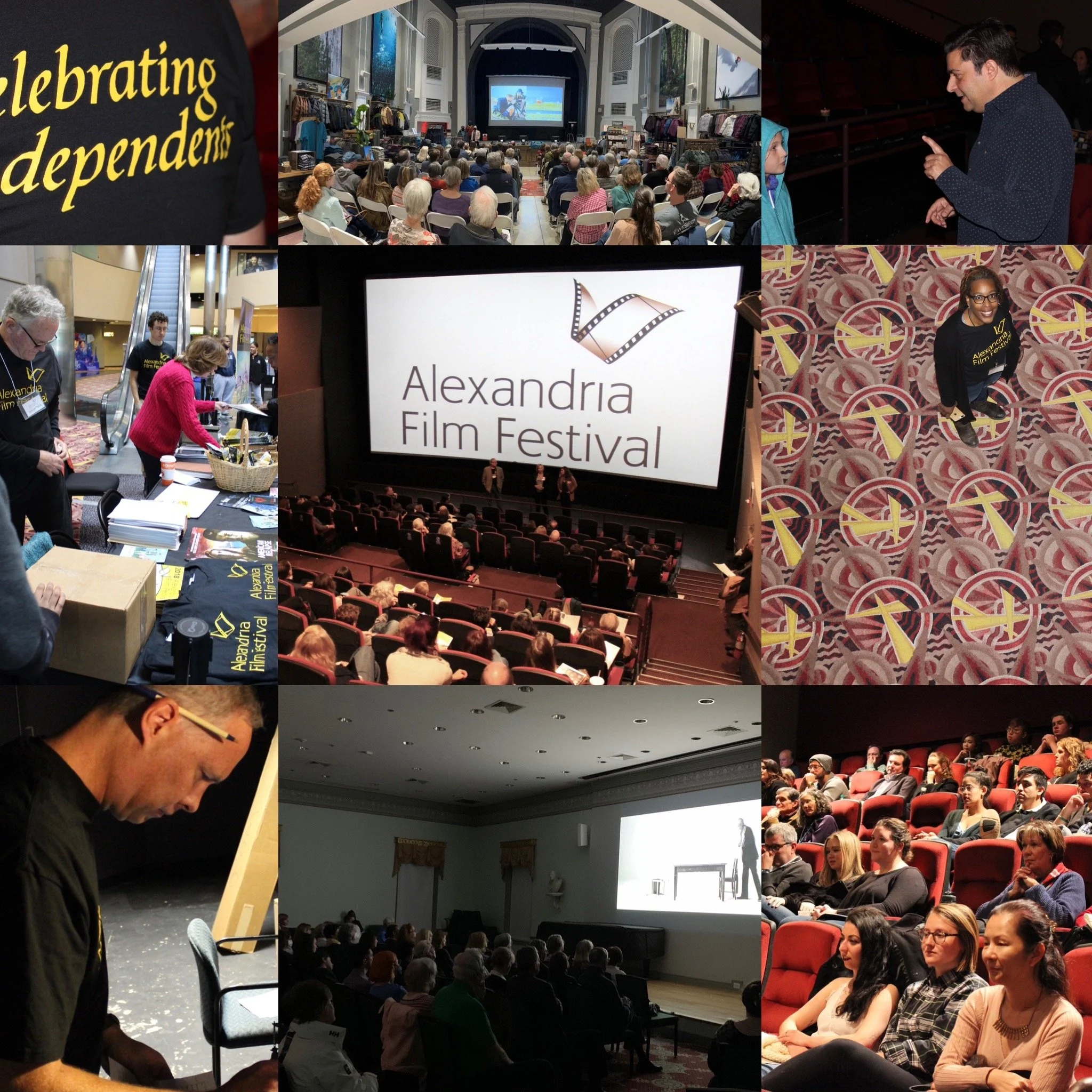 Reflections on Film Festival Volunteering