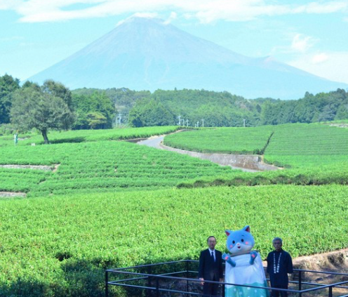 Enhancing Remote Tourism: Mt. Fuji Come Rain Or Shine