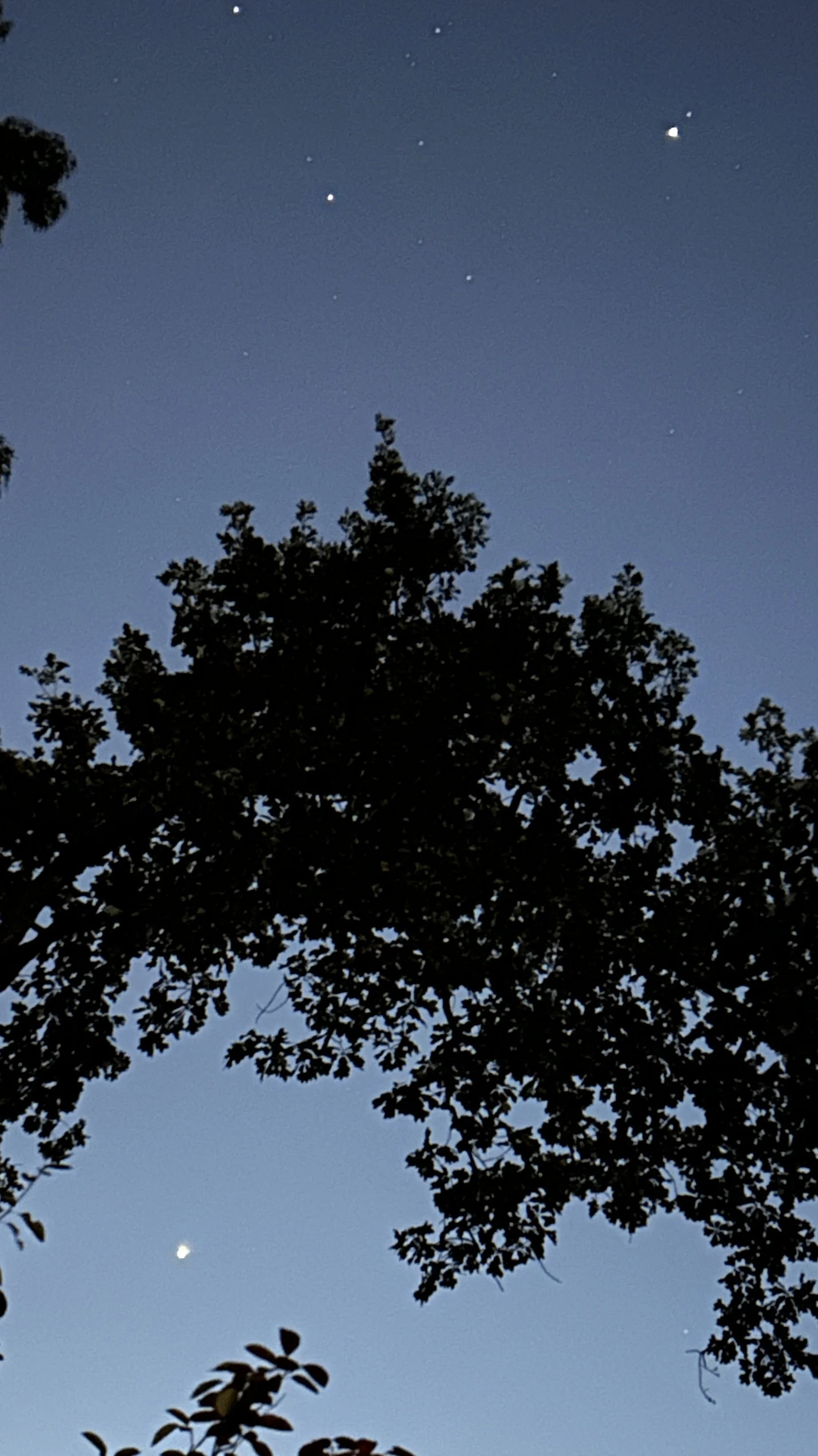 Where Are Jupiter And Venus This Morning?