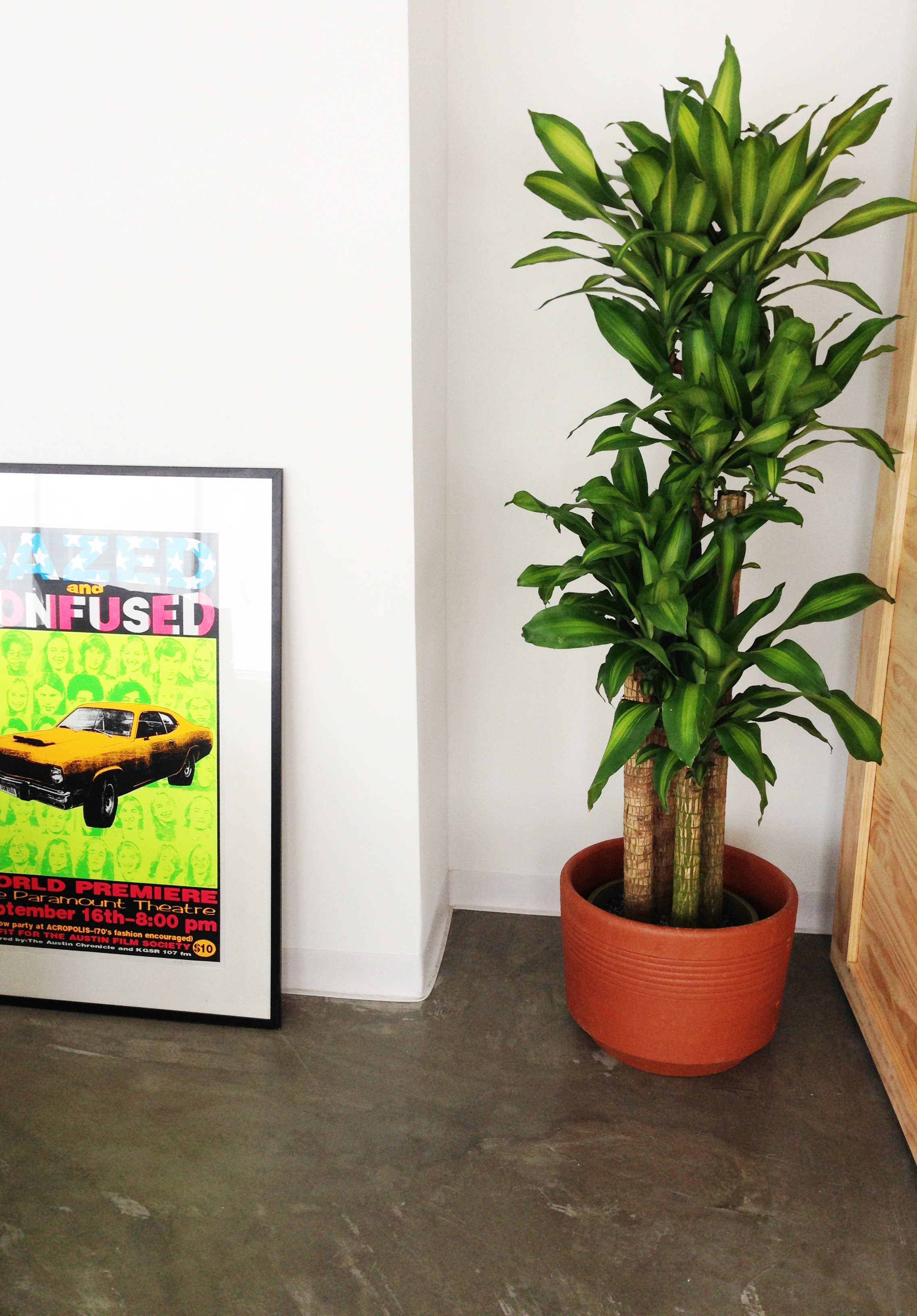 plant_TPG.jpg