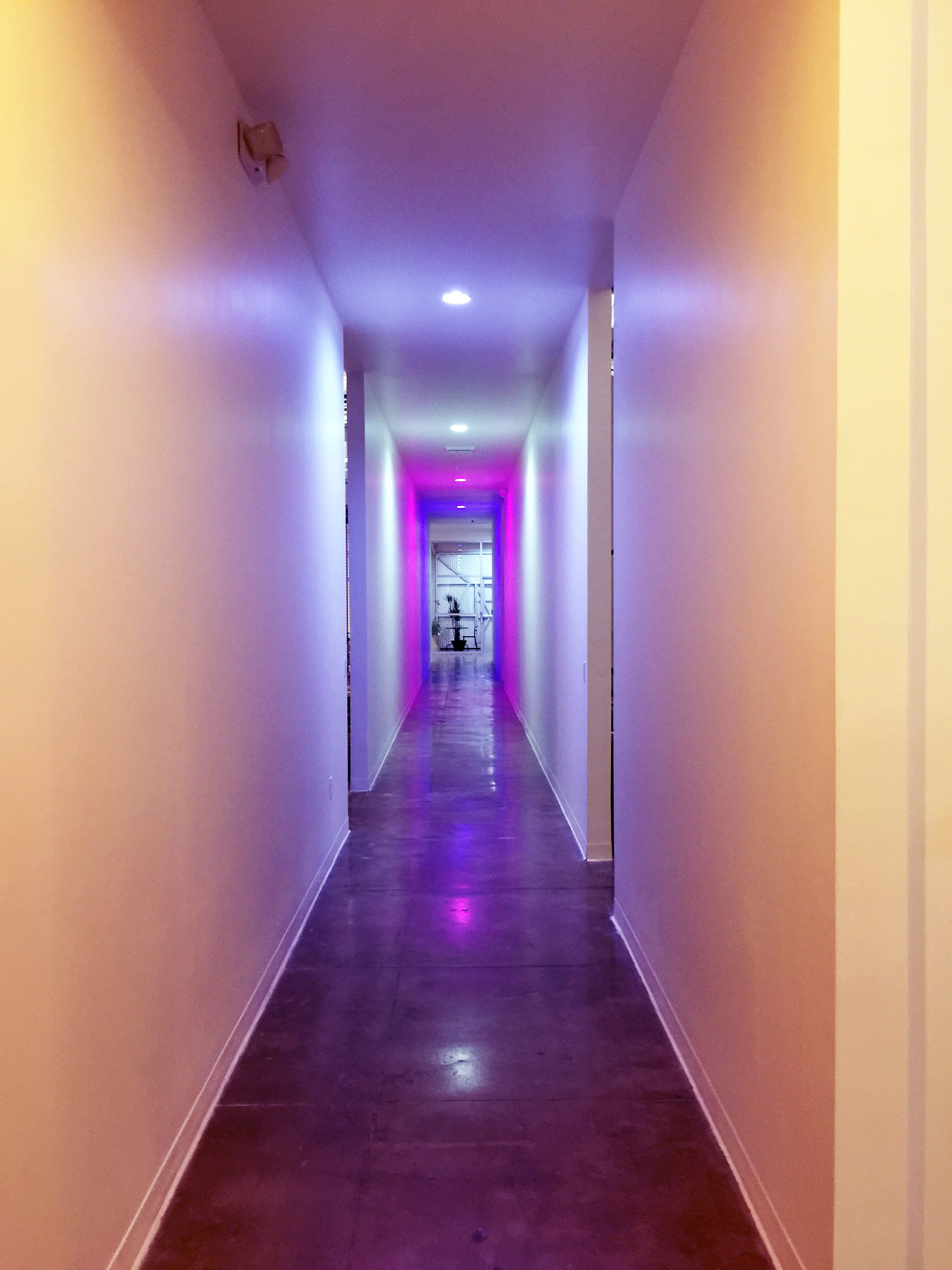 hallway1.jpg