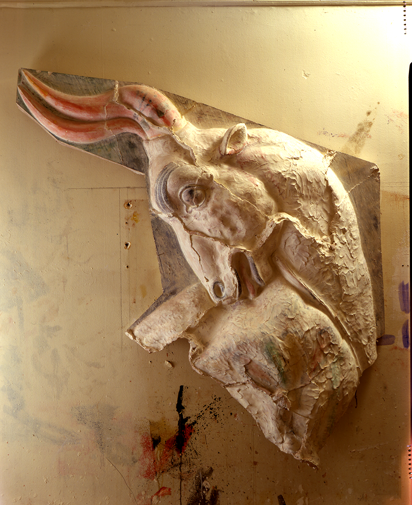 horse_head.png