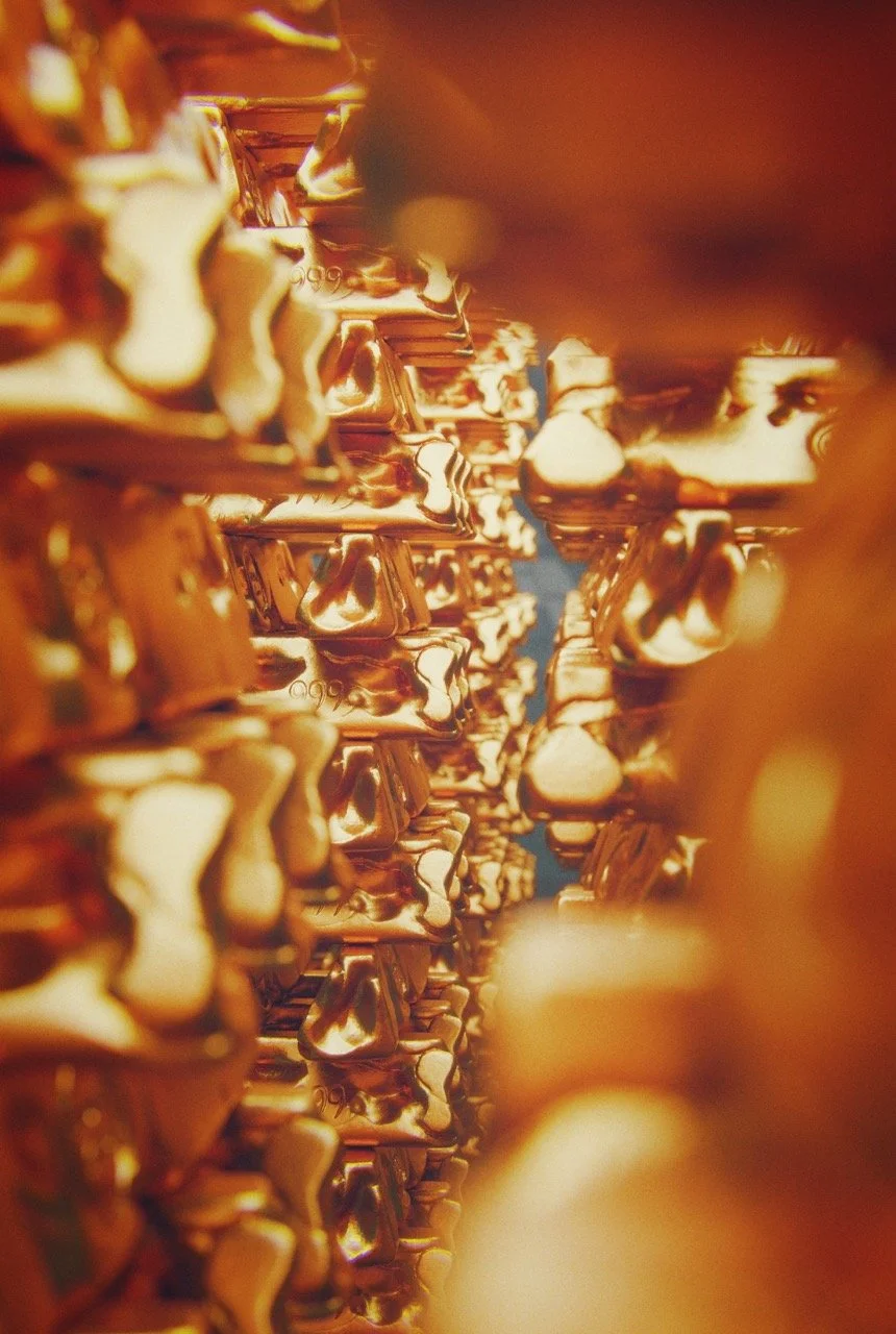 inside_stacks00087354 Large.jpeg