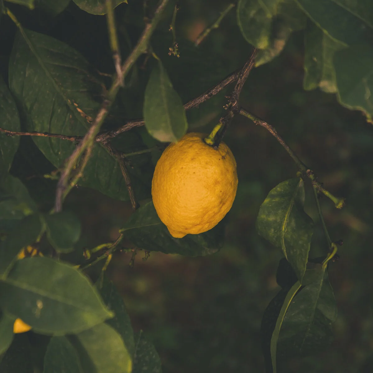 12 People On What Led Them To Their Big Breaks