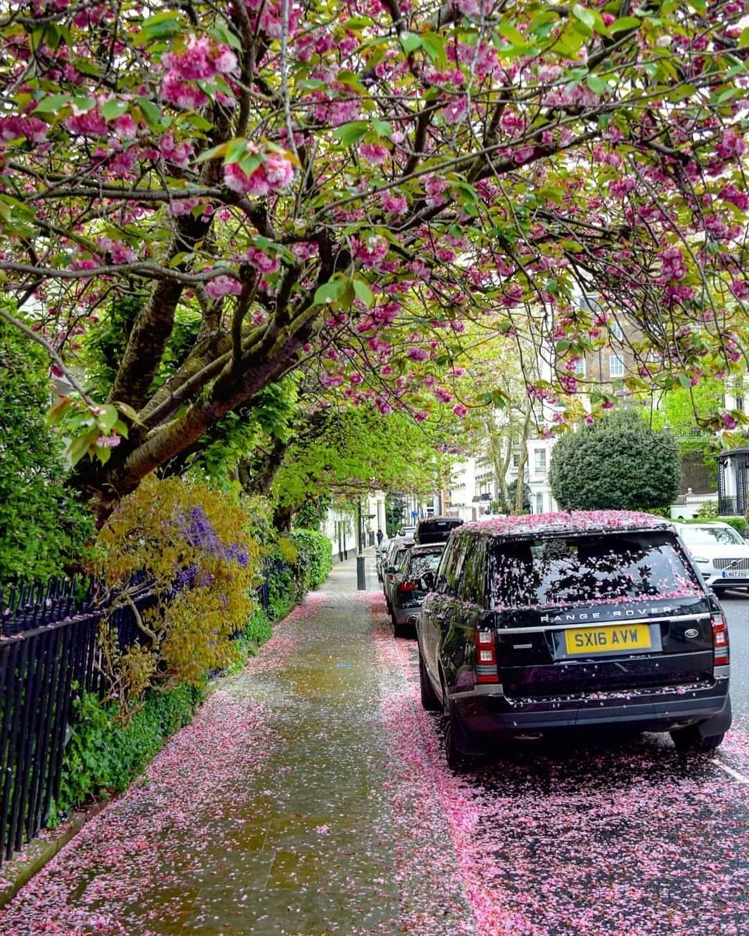 Worst Sunday Texts, Spring Scented Candle Recommendations, and Dos &amp; Don'ts of Zoom Calls