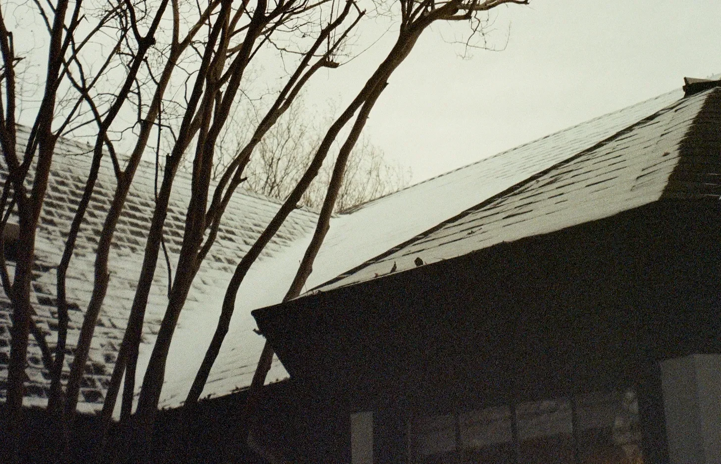 Sunday Confessions: 2-8-26