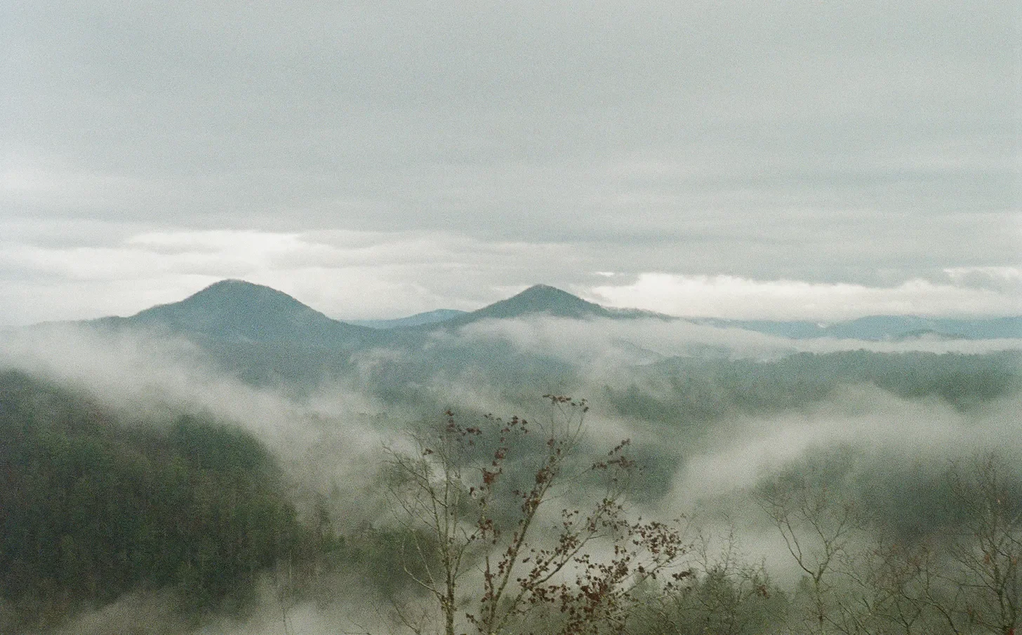 Sunday Confessions: 2-22-26