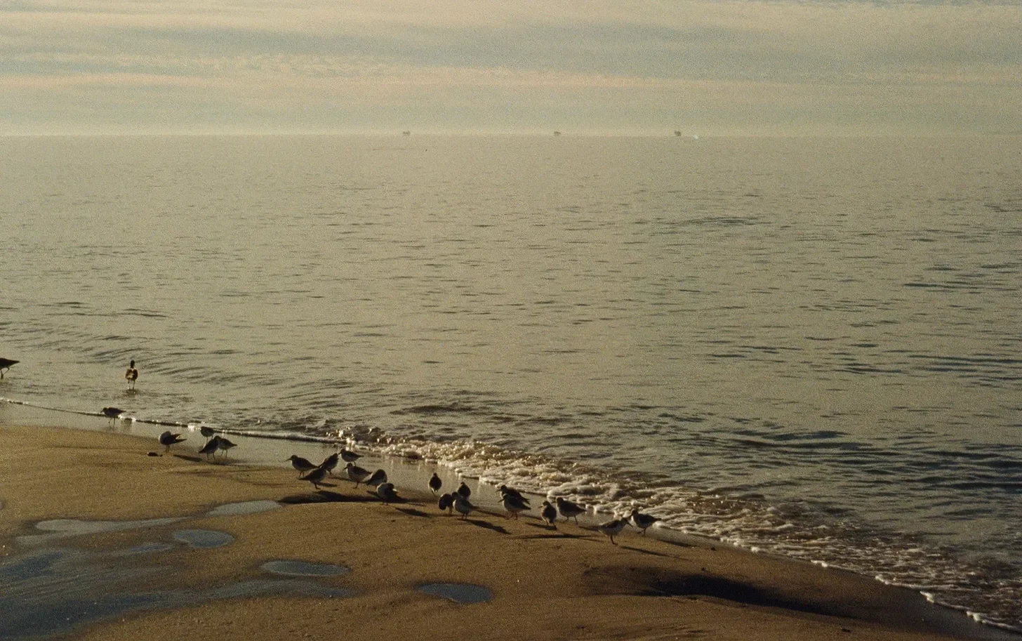 Sunday Confessions: 3-22-26