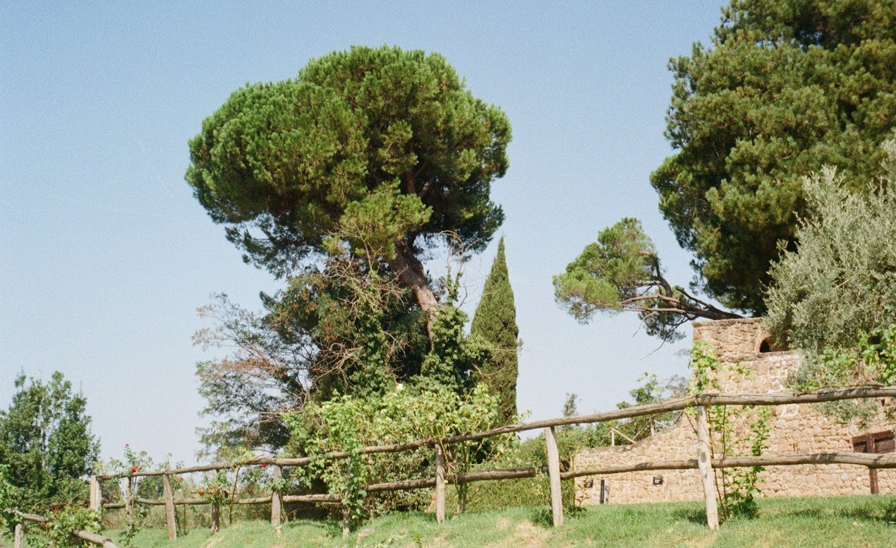 Sunday Confessions: 3-29-26