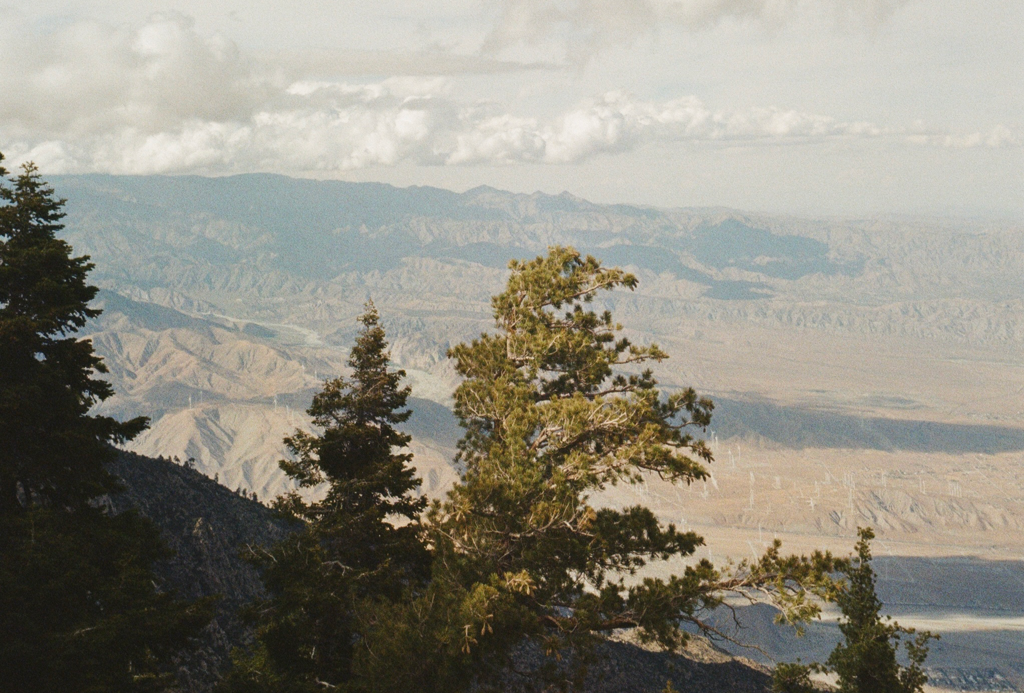 Sunday Confessions: 4-26-26