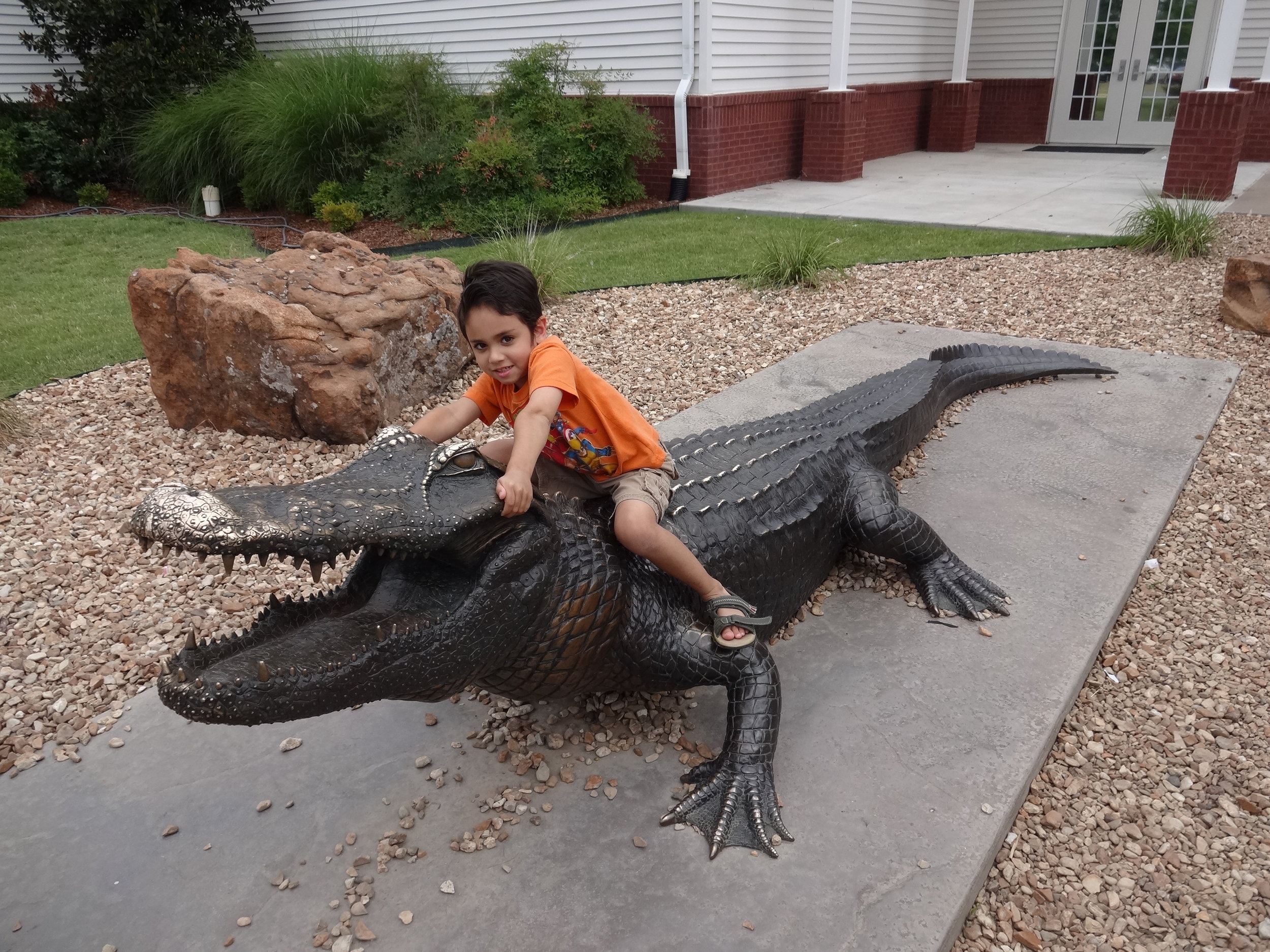 Tulsa Aquarium July 2013-Xavier wrestles an alligator!.JPG