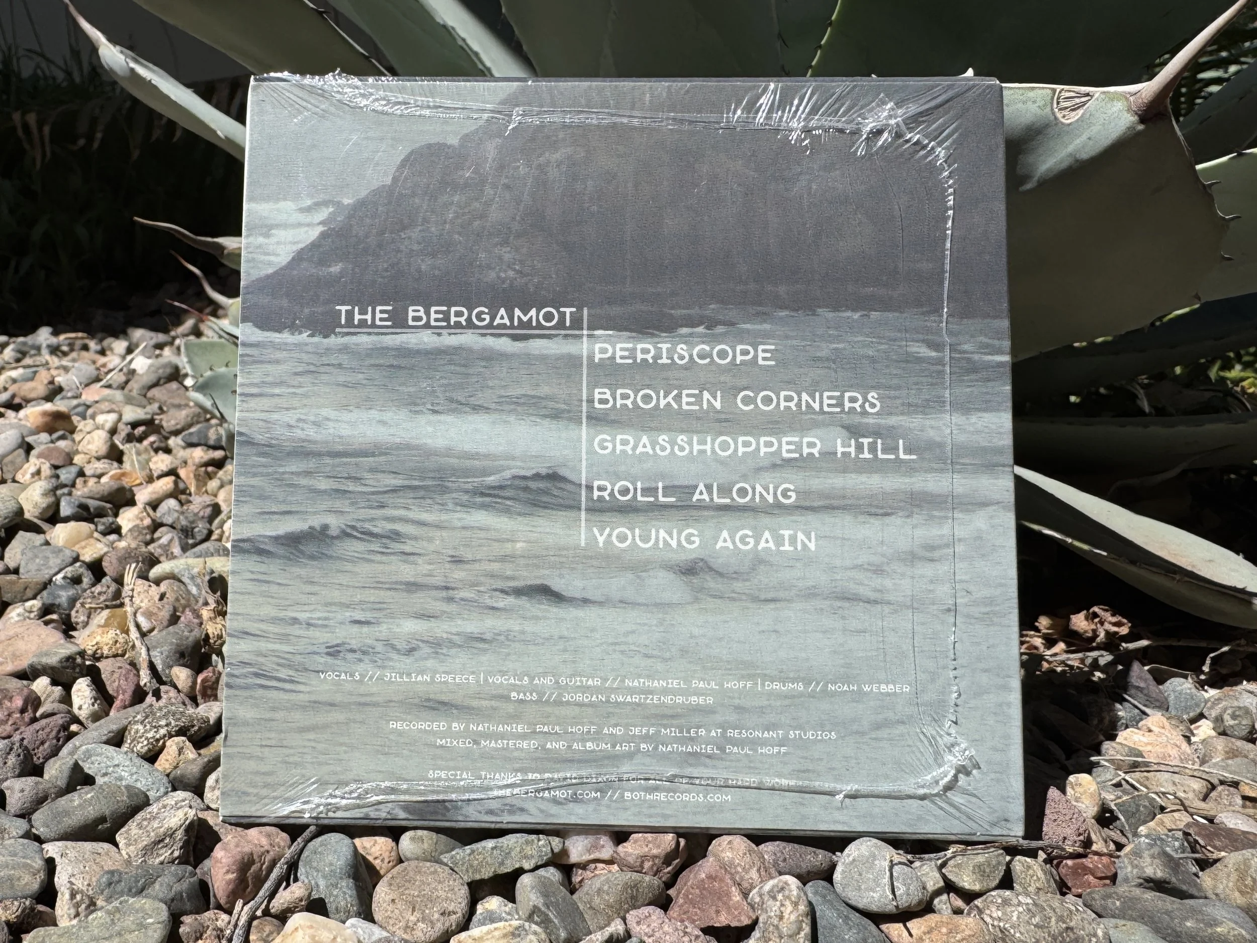 the-bergamot-young-again-album-2016.jpg