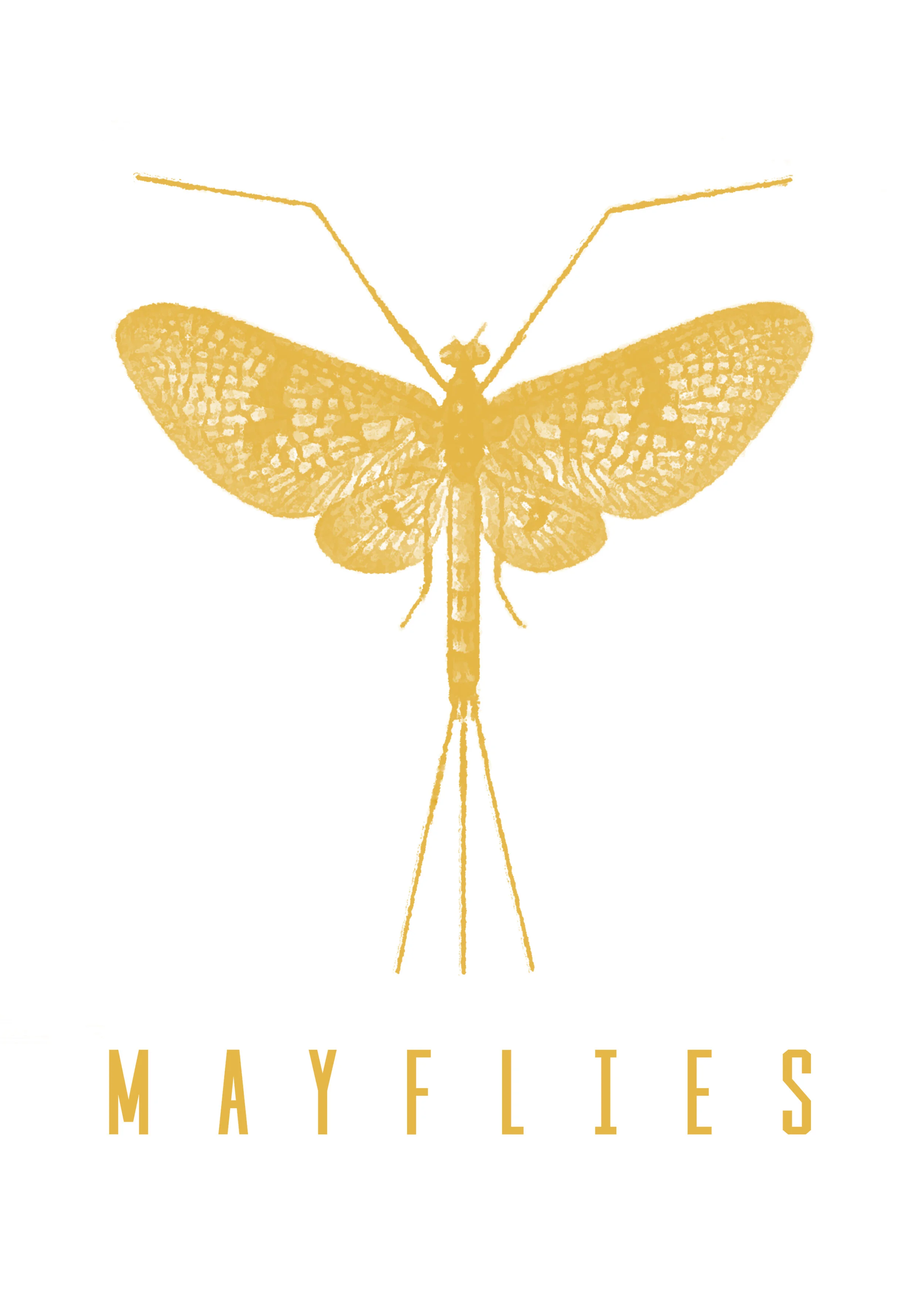Mayfly Poster - Autographed 