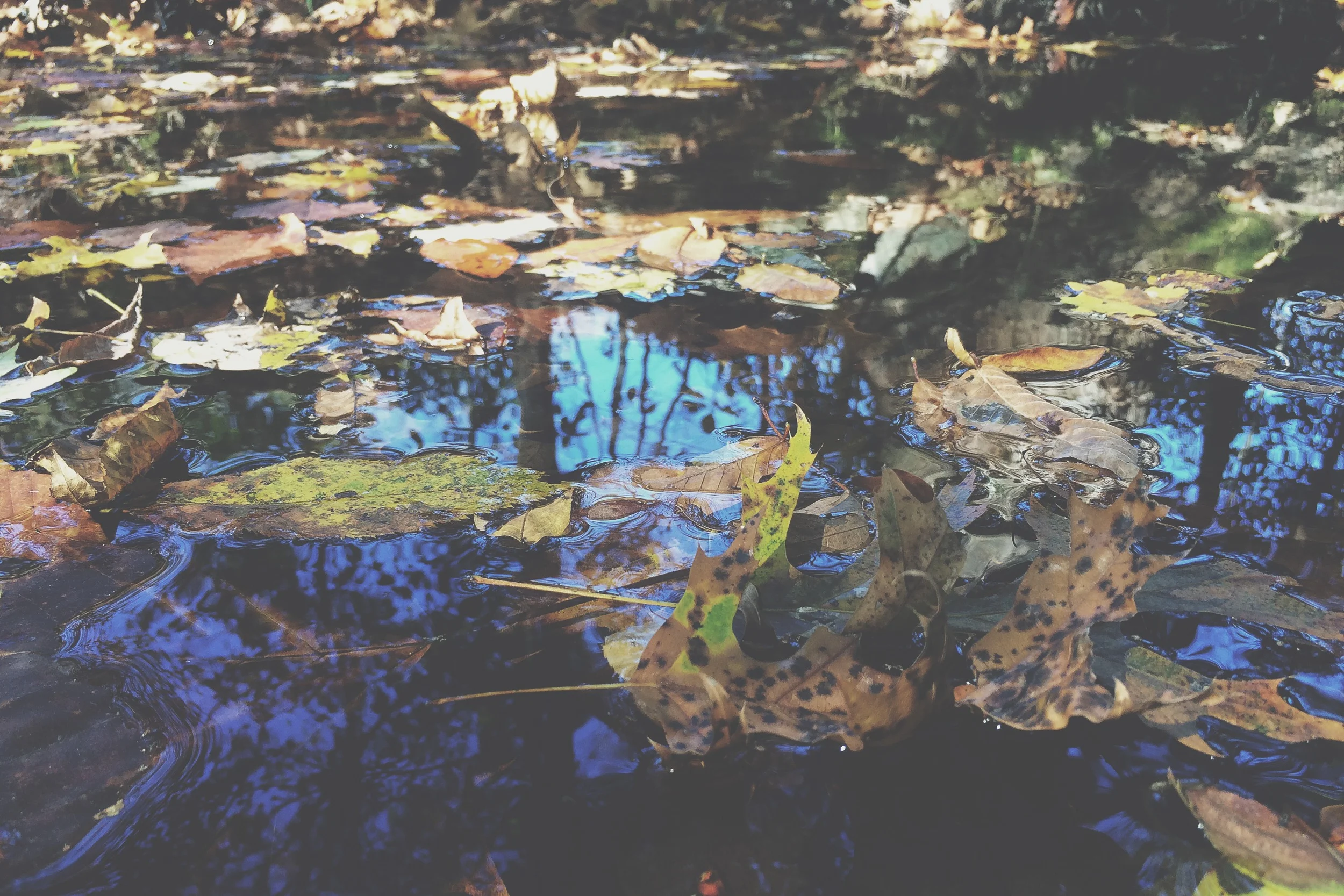 Smith Creek