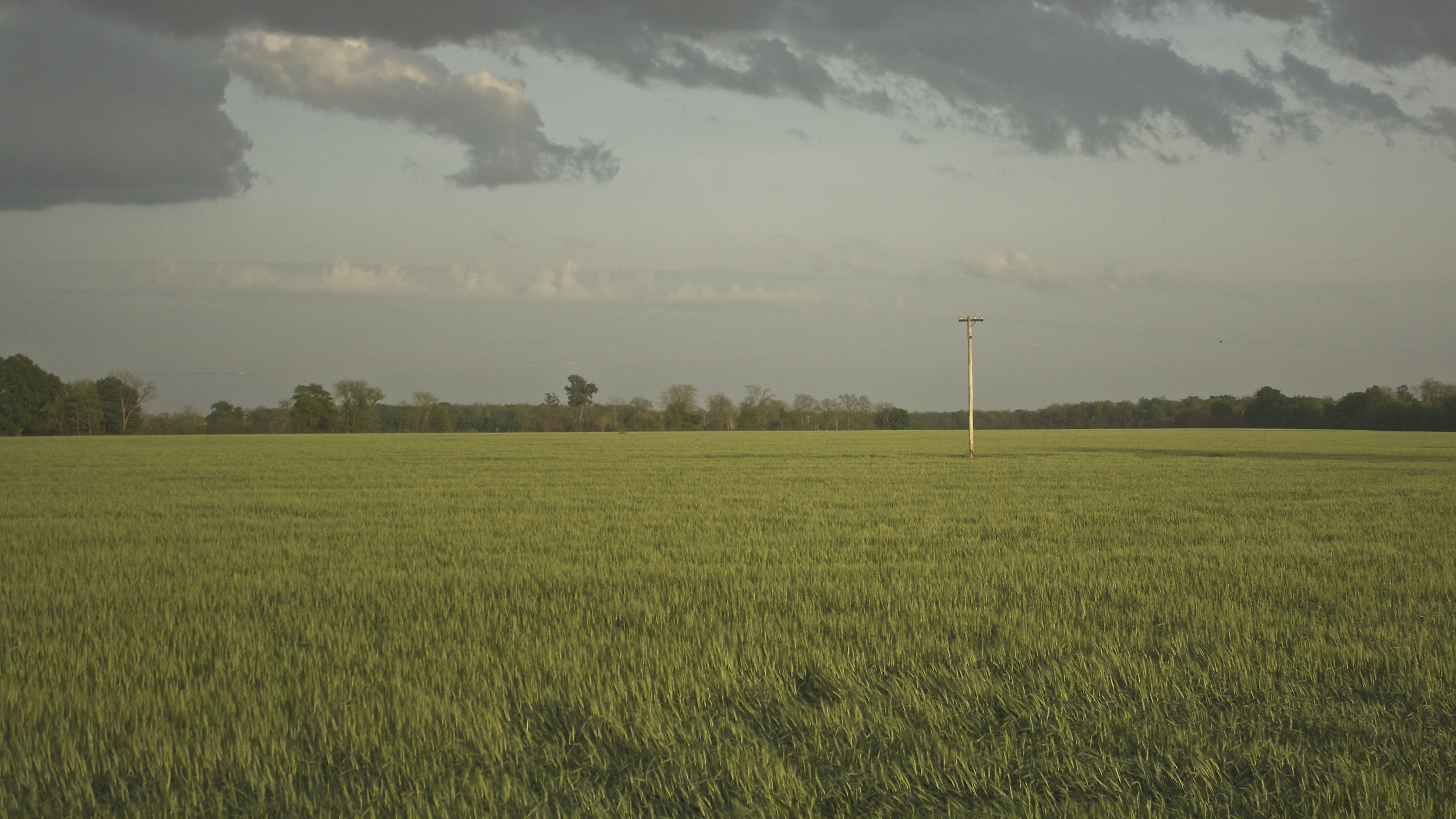 Delta Fields