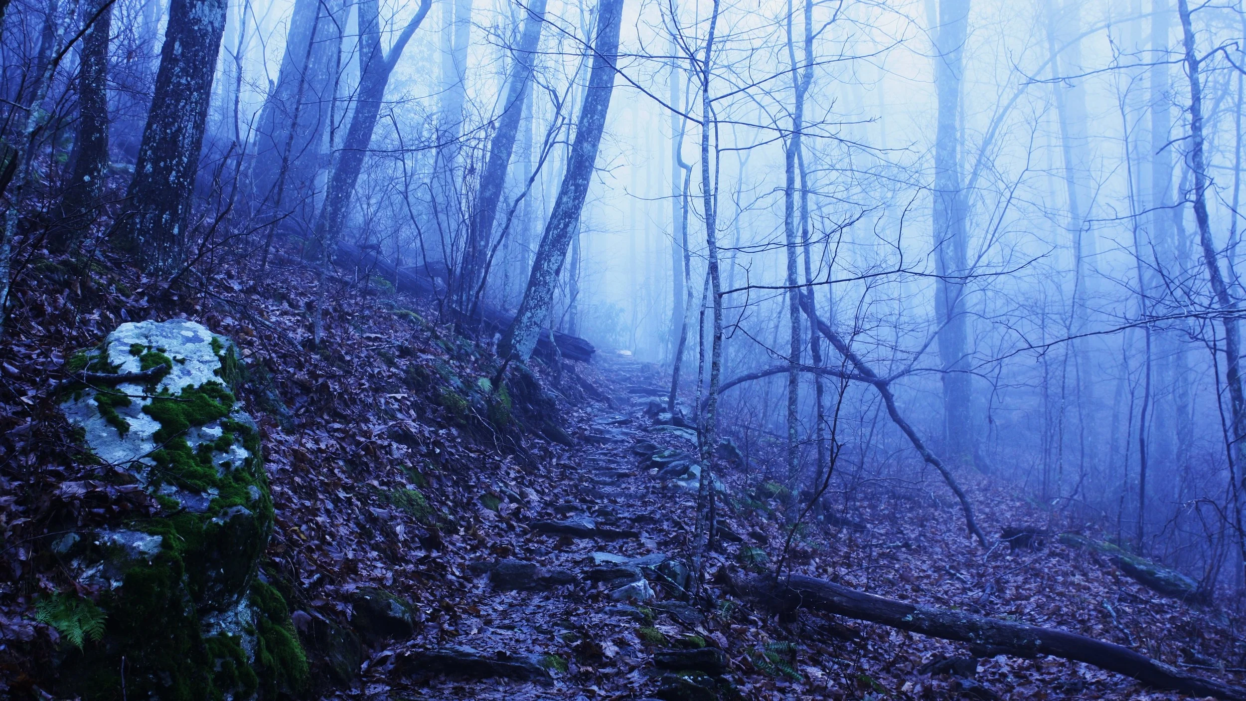 The Appalachian Trail